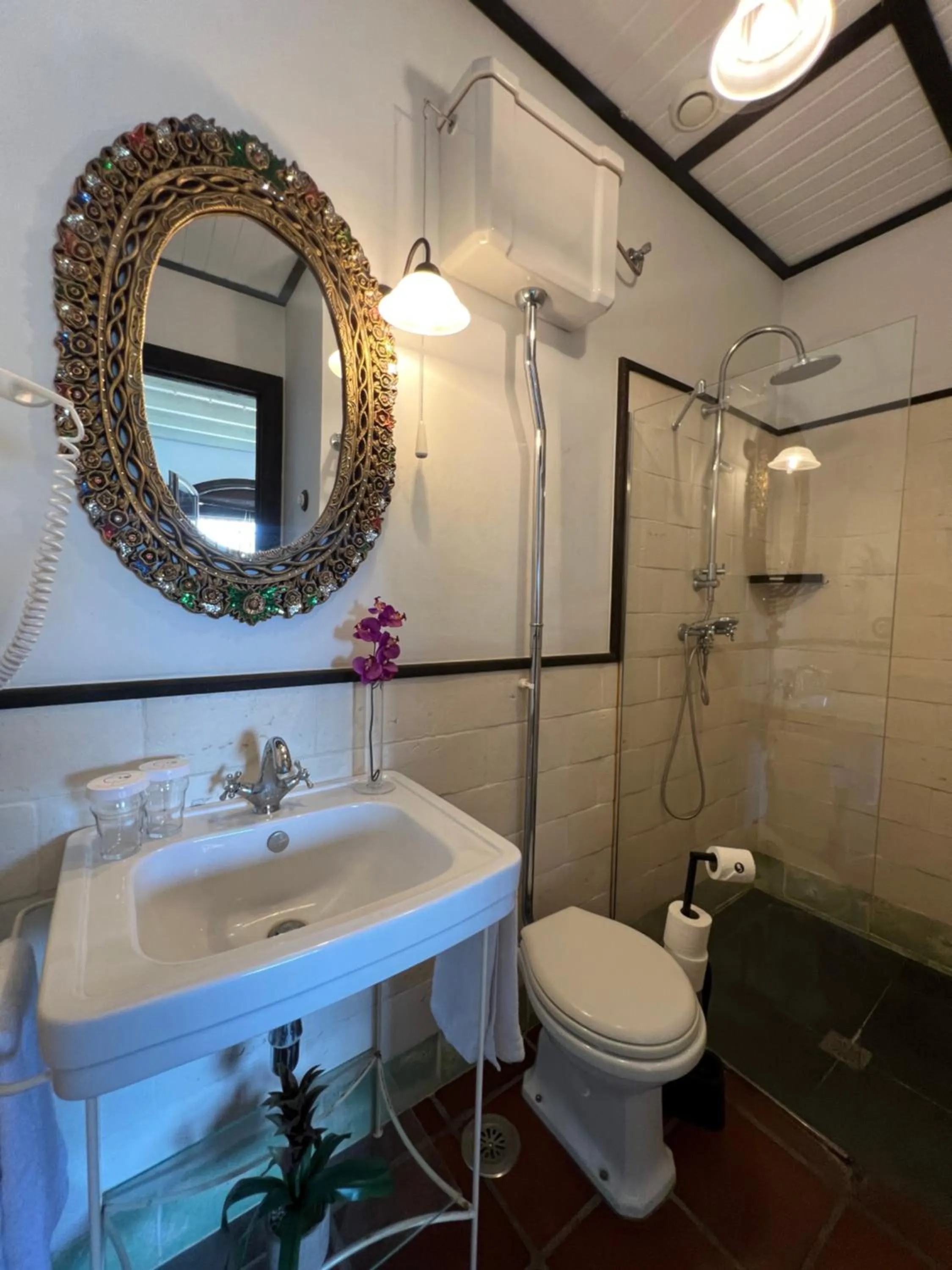 Toilet in ON Acebuchal 23