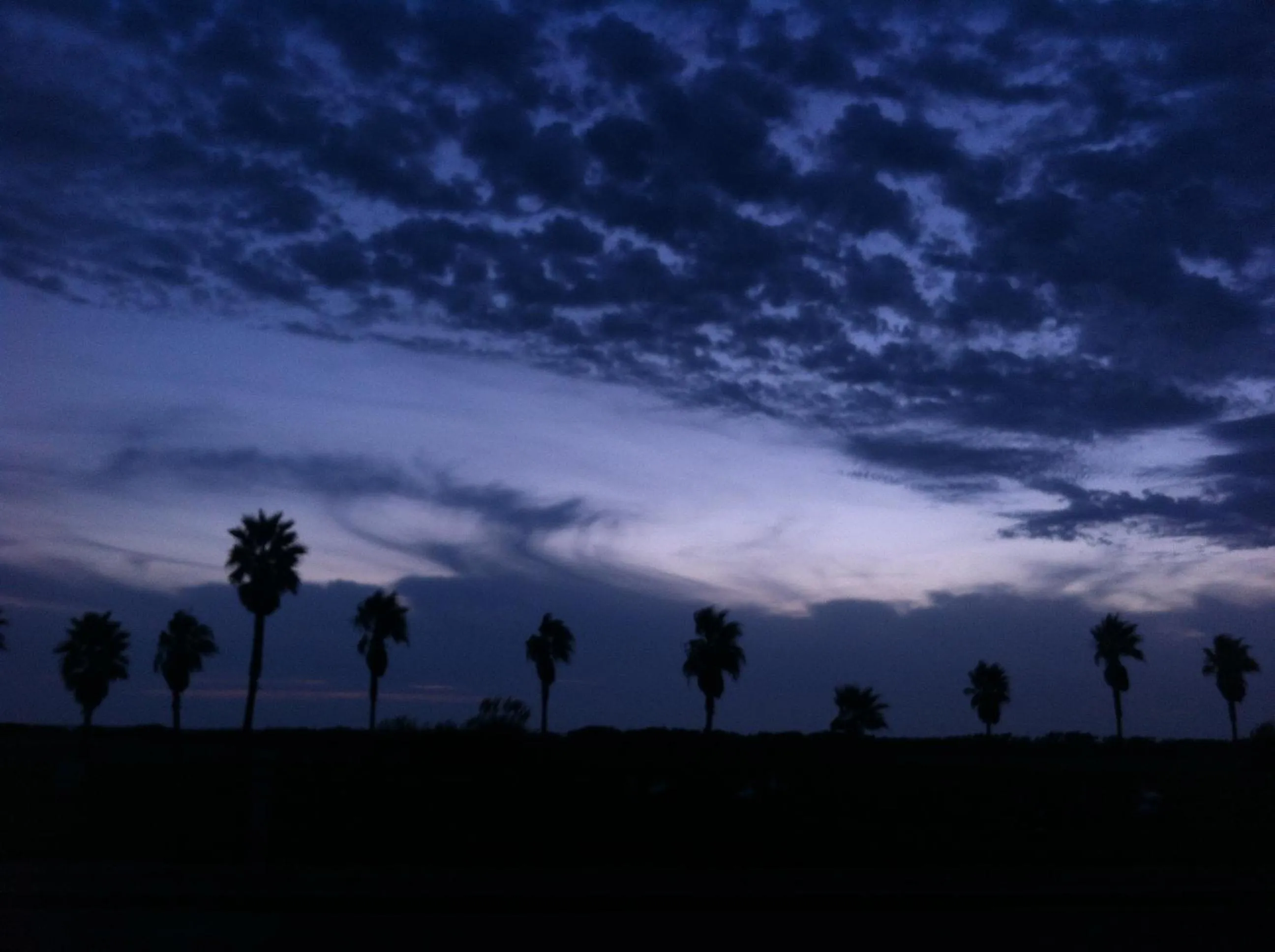 Area and facilities in Life Apartments Costa Ballena