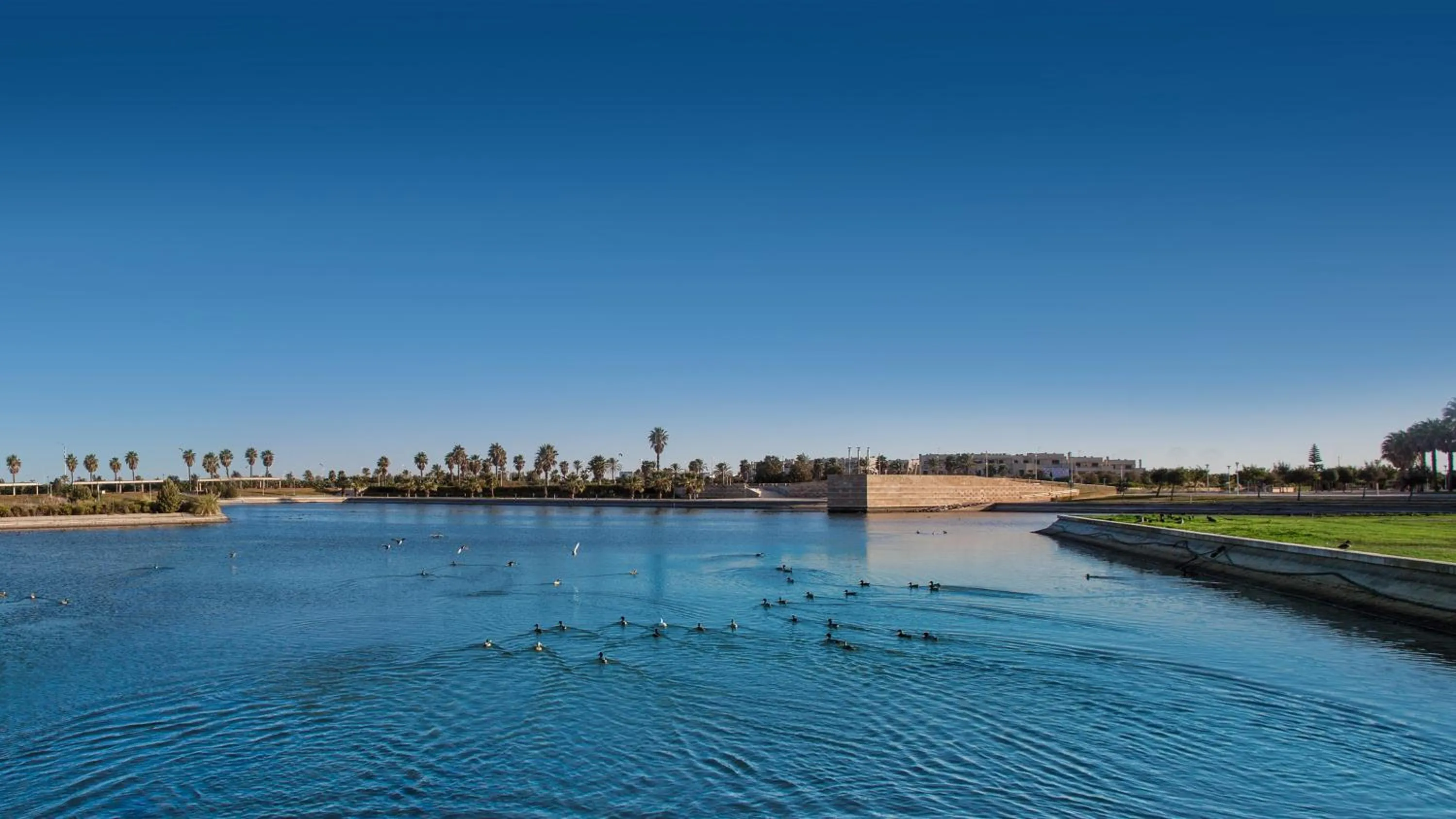 Area and facilities in Life Apartments Costa Ballena