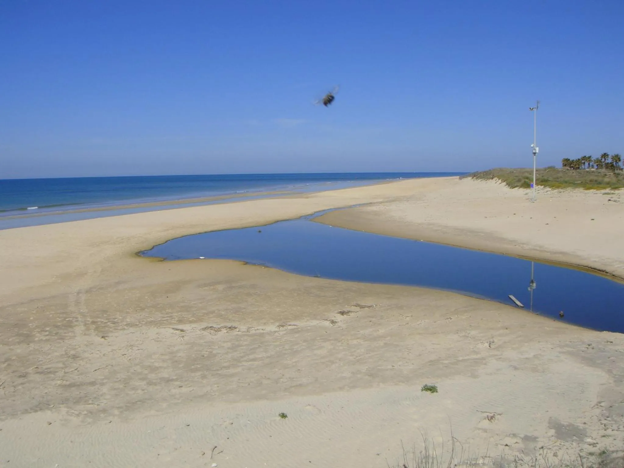 Beach in Life Apartments Costa Ballena