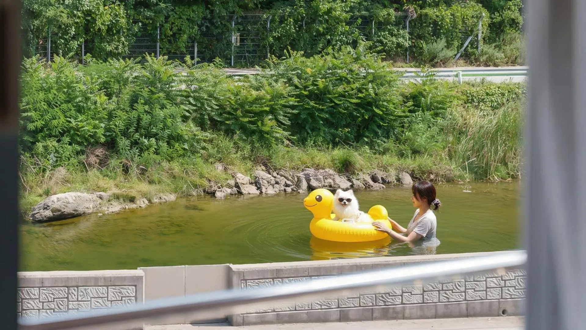 Property building in Samcheok Healingcamp Pension