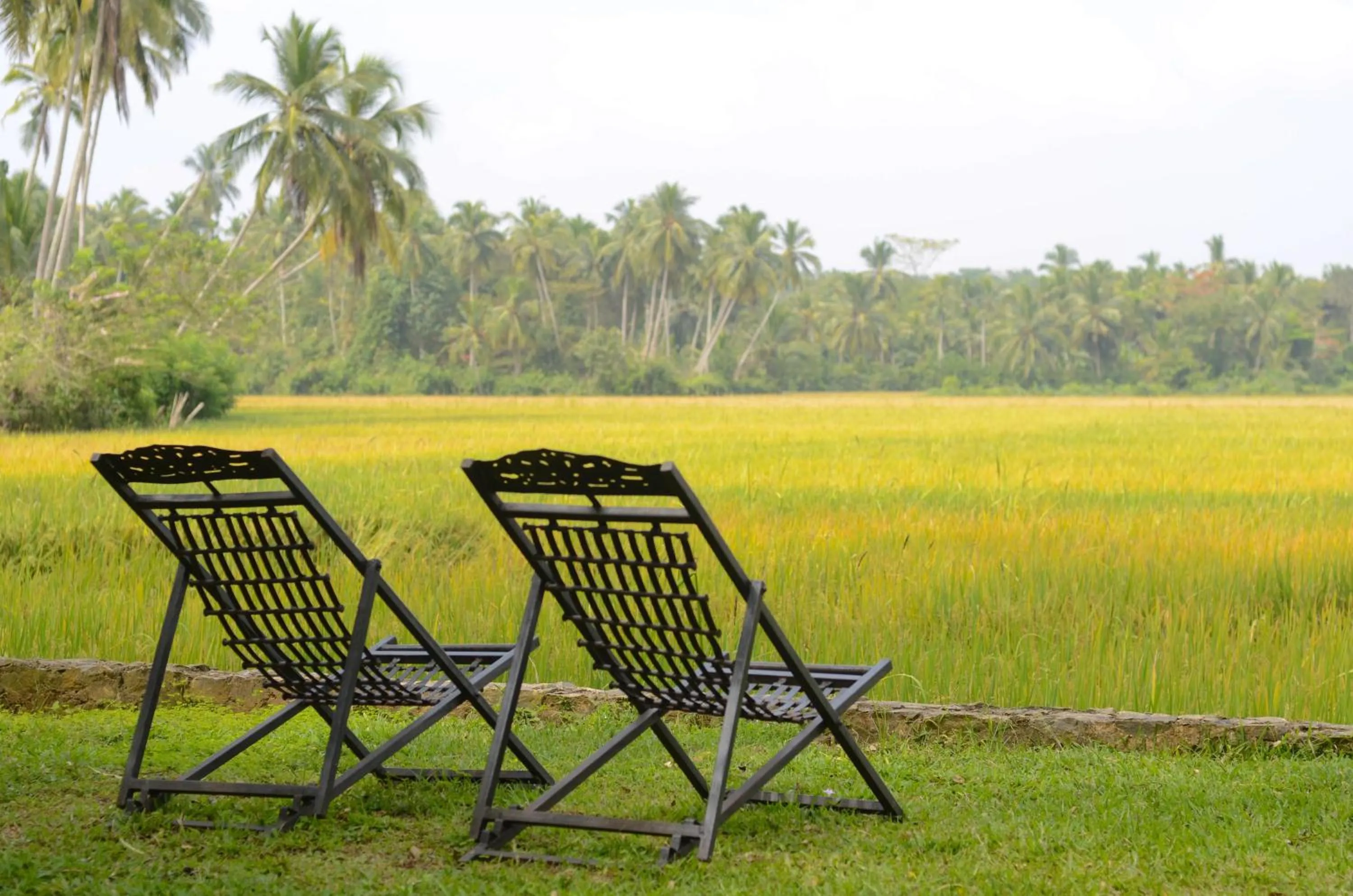 Day in Maya Tangalle