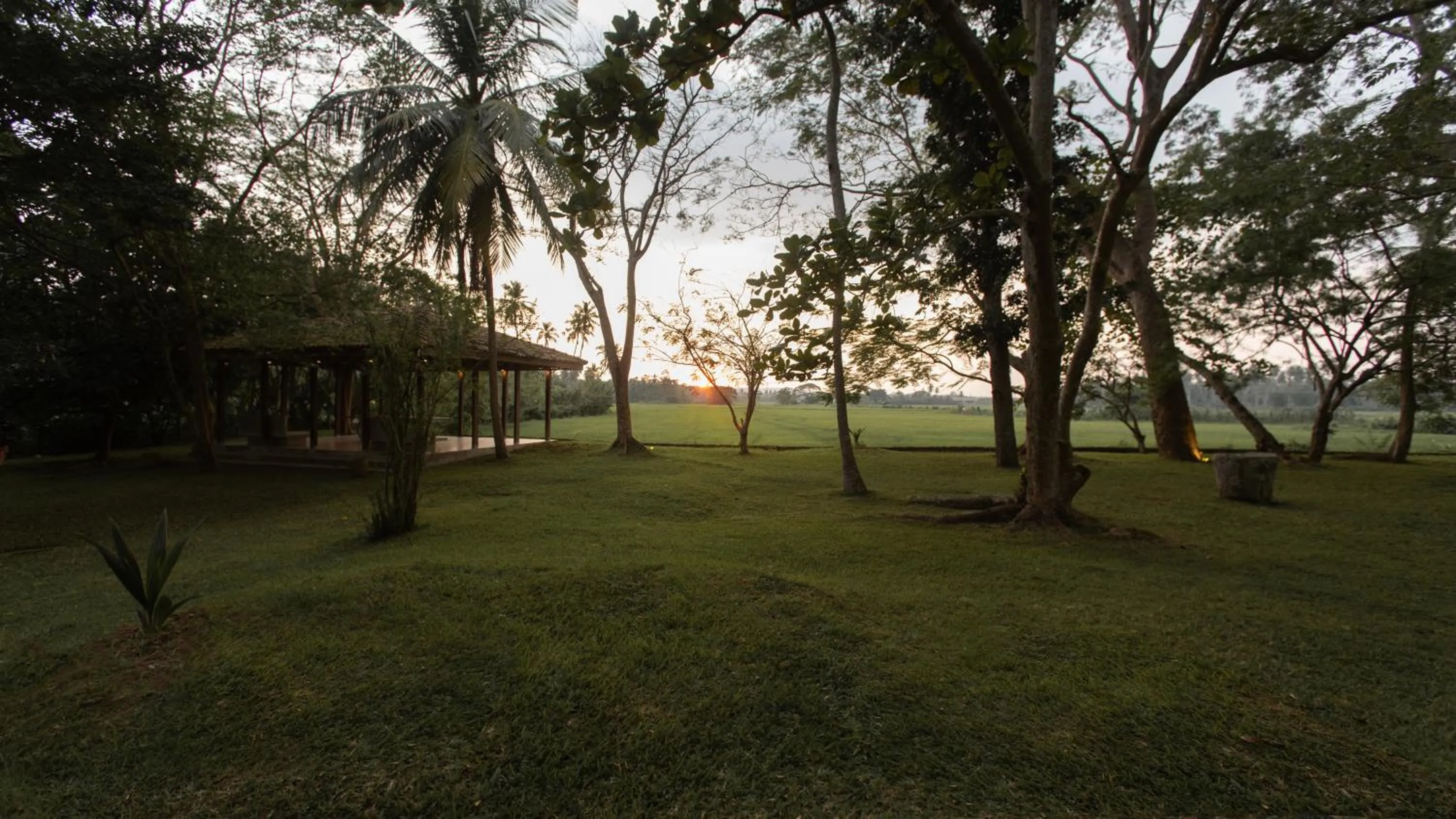 Natural landscape in Maya Tangalle