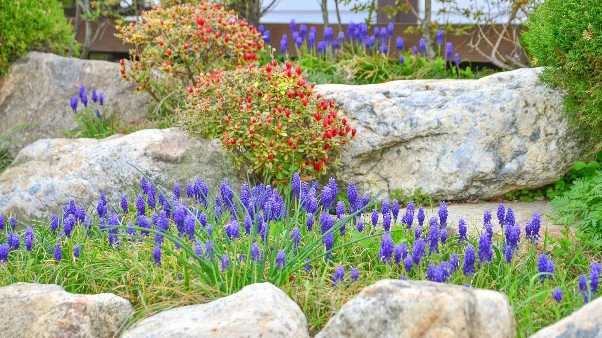 Property building in Samcheok Herb Pension
