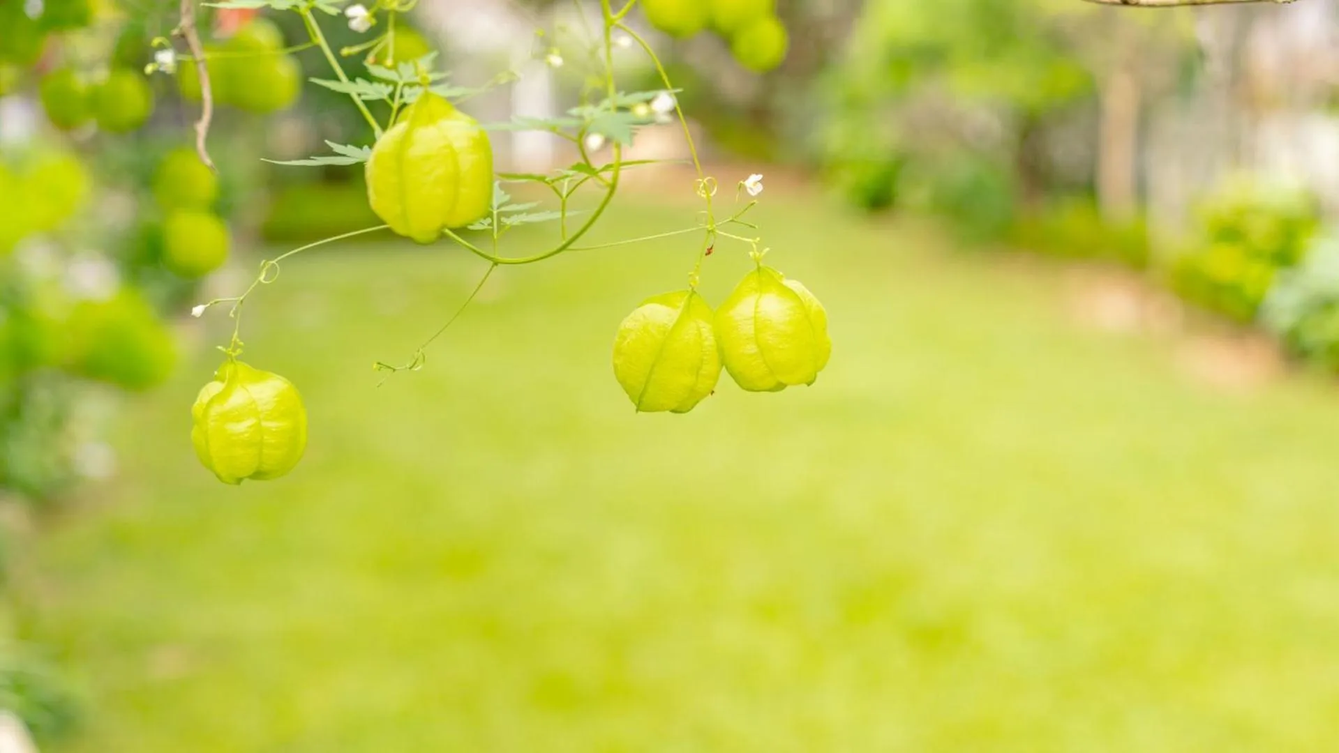 Property building in Gapyeong Art Pension