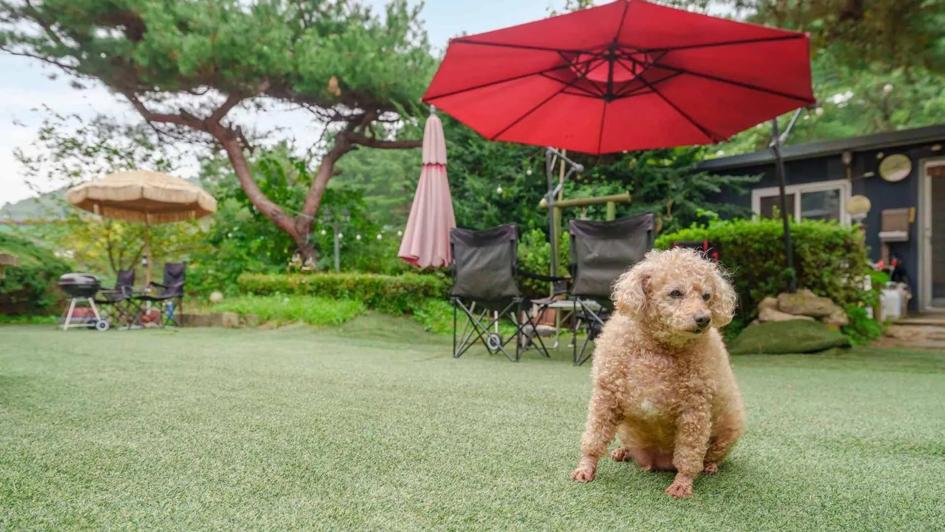 Property building in Pocheon Arumdri Pension