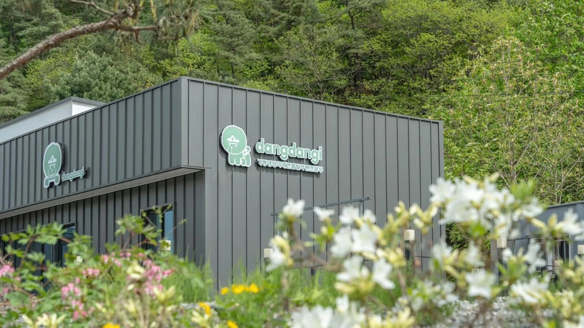 Property building in Gapyeong Dangdangi Pet Poolvilla Blue