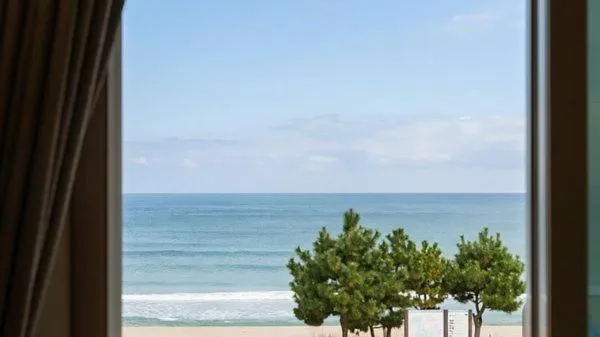 Property building in Yangyang Haetteuneun Changmun Pet-Friend