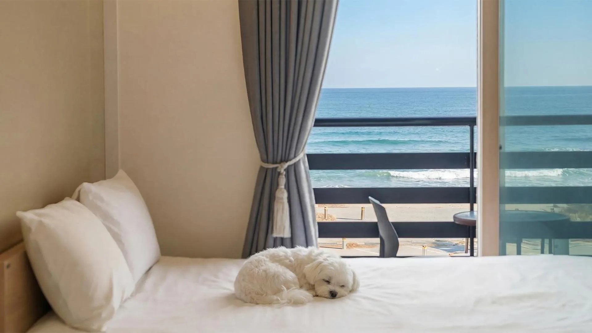 Property building, Bed in Yangyang Haetteuneun Changmun Pet-Friend
