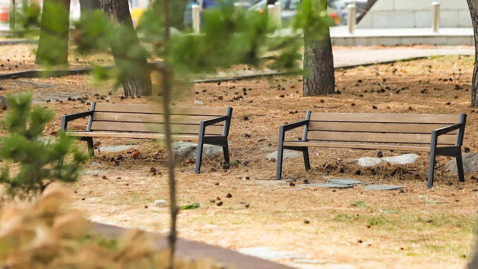 Property building in Sokcho Harmony Pension