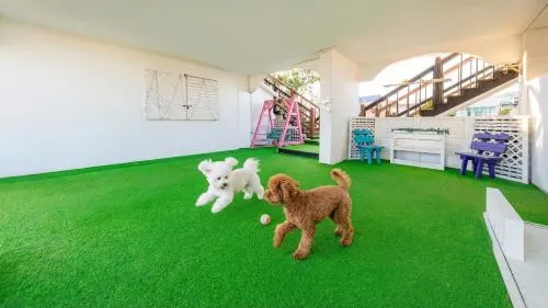 Taean anmyeondo hwangdo ilmare Pension