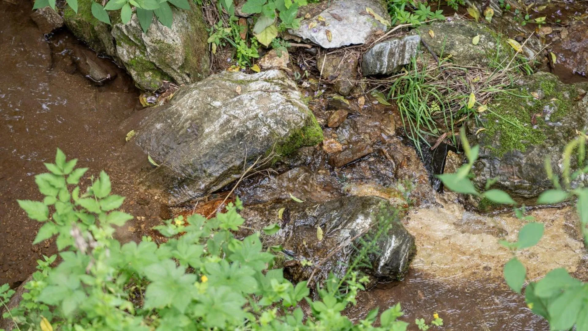 Property building in Gapyeong Dongban84 Glamping&Pool villa