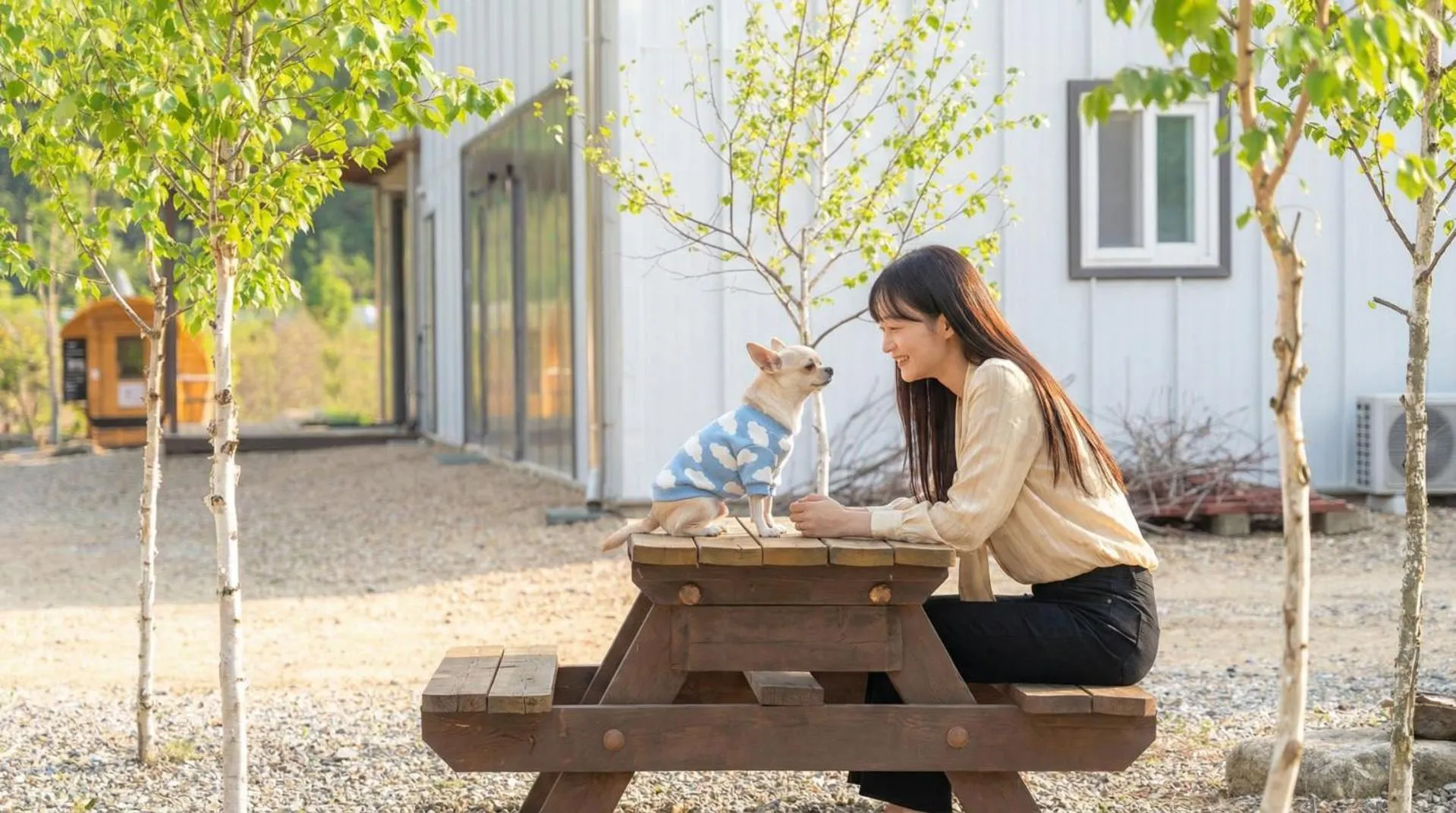 Property building in inje darani pet pension