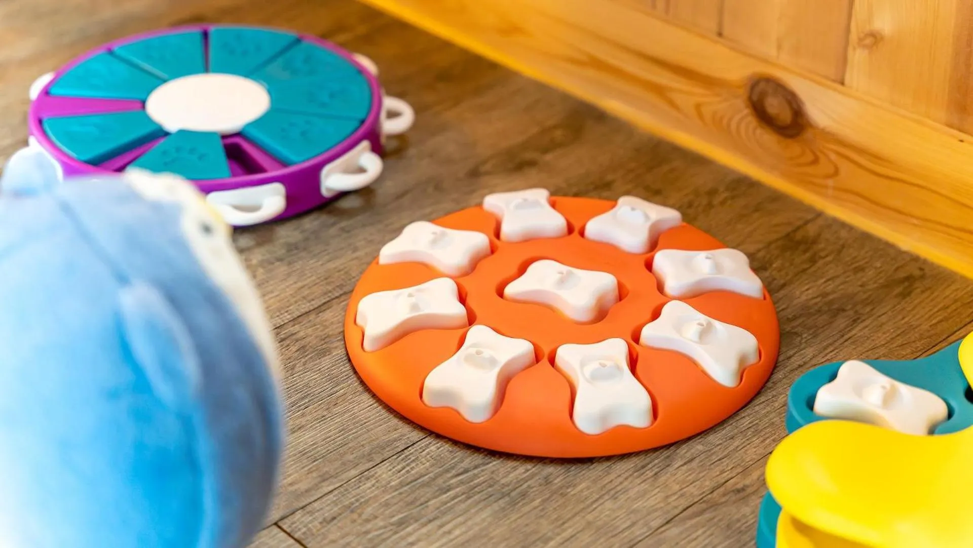 Property building in Gapyeong S&J Pension