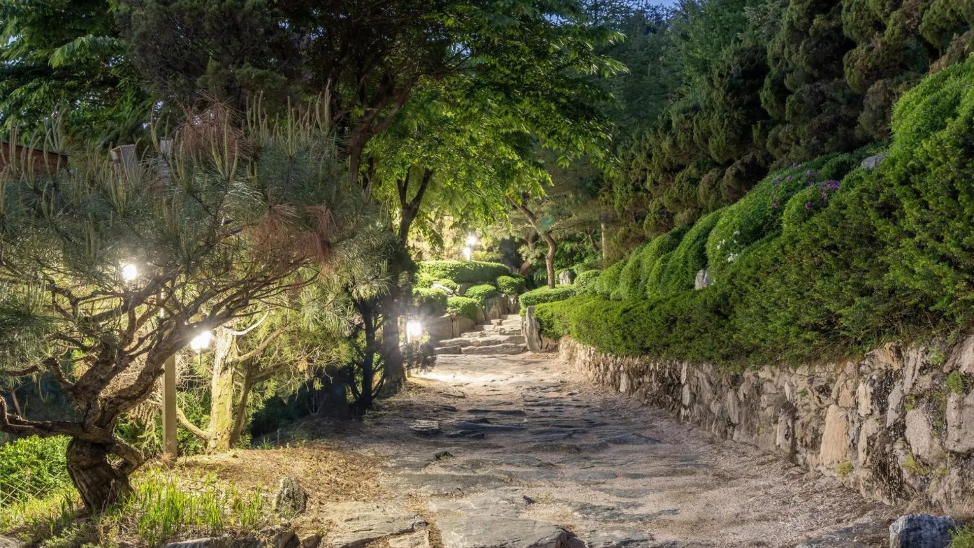 Property building in Pocheon luxjay pet Pension