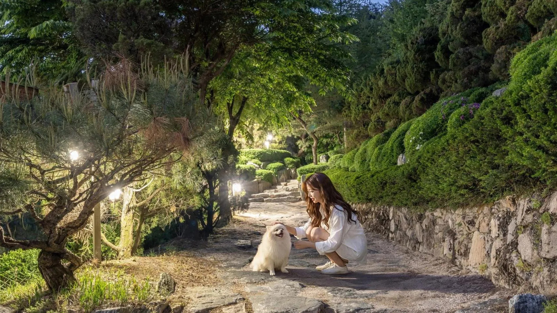 Property building in Pocheon luxjay pet Pension