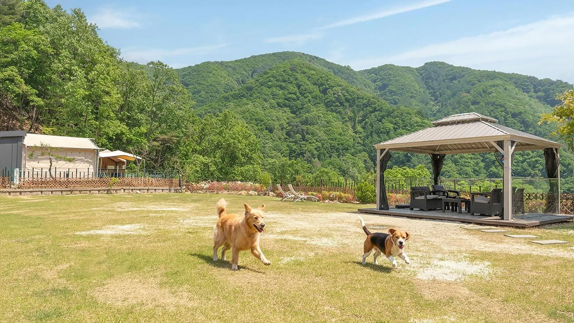 Property building in Gapyeong camp with pet & aegyeonglamping