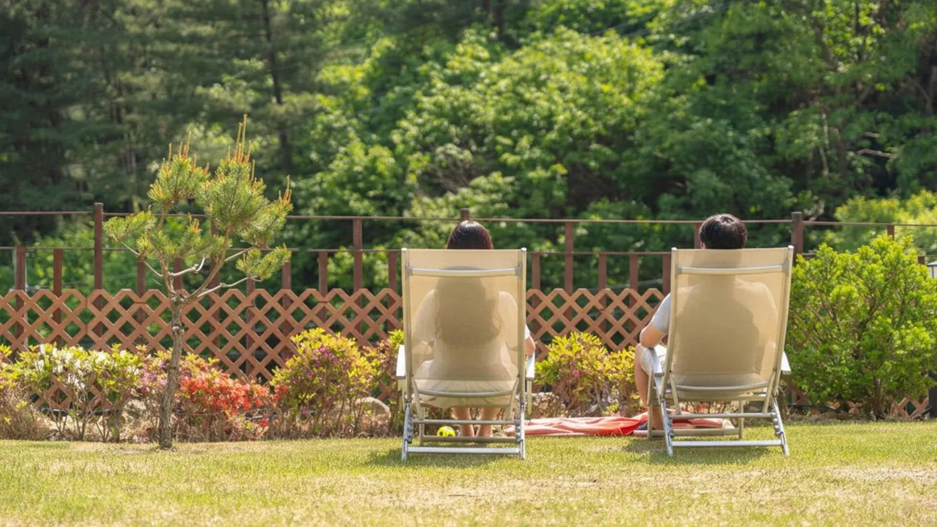 Property building in Gapyeong camp with pet & aegyeonglamping