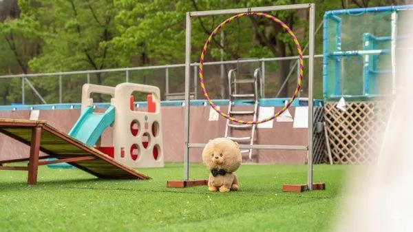 Property building in Chuncheon Dogandstay