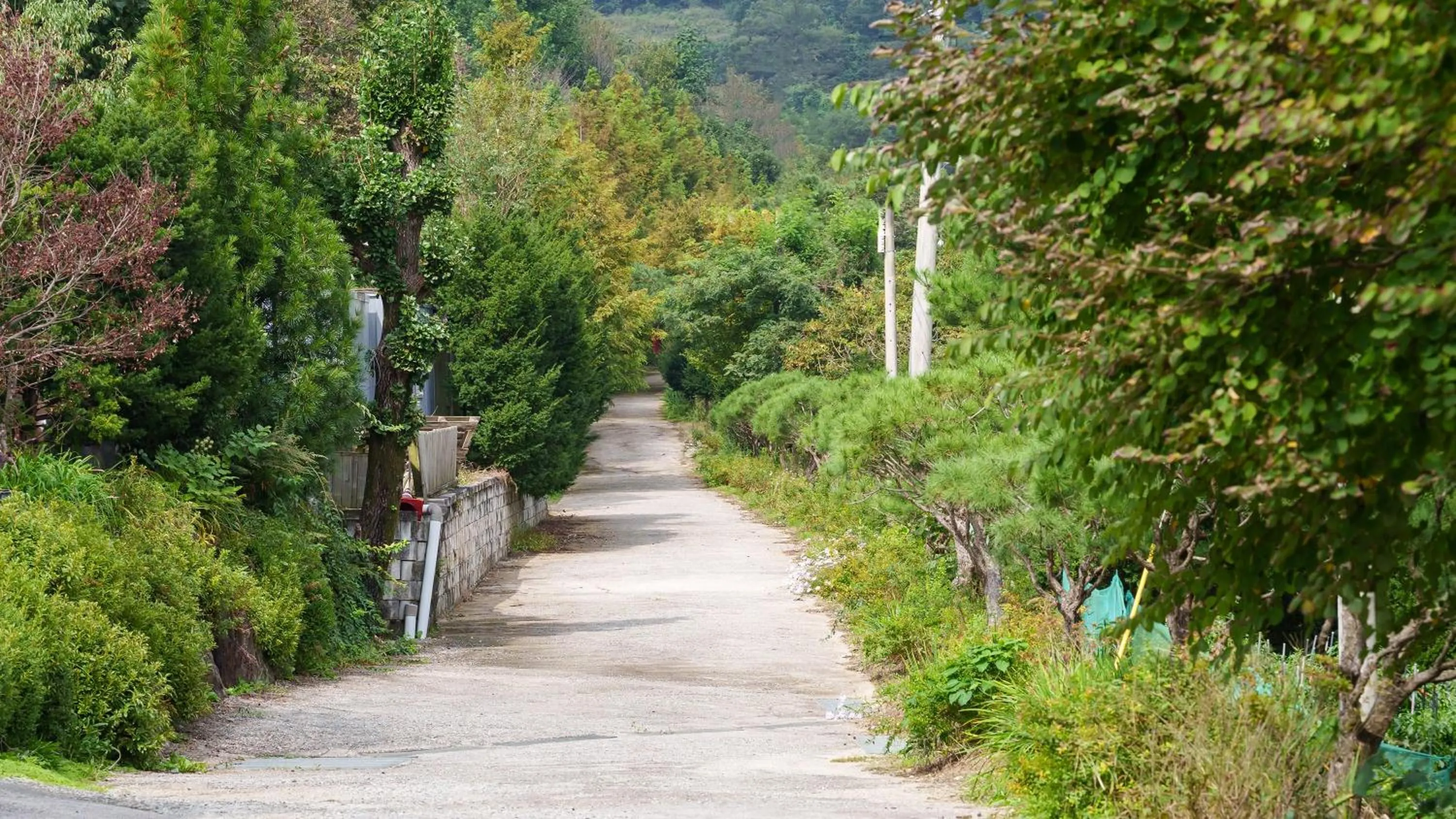 Property building in Gapyeong Ddel Poolvilla