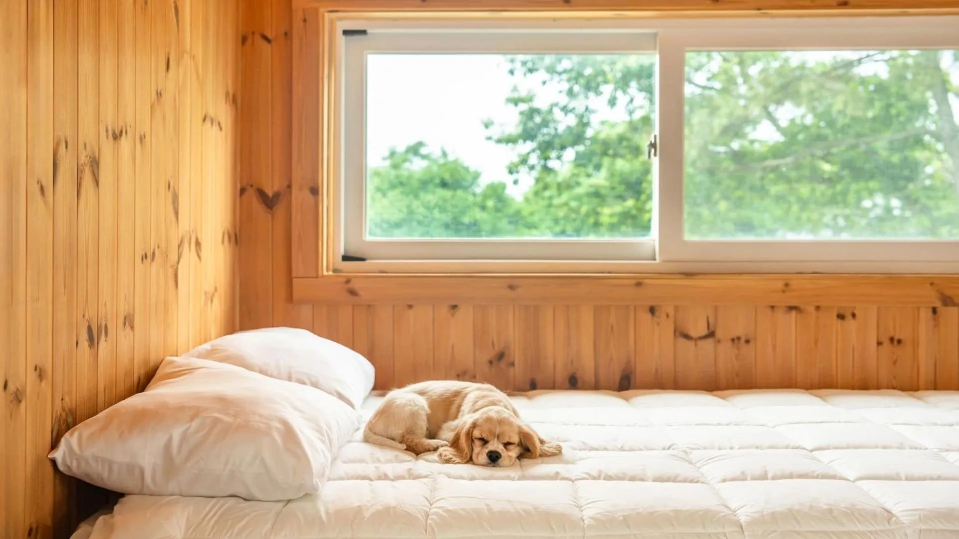 Property building, Bed in boryeong hiddenvillage dokchae poolvilla