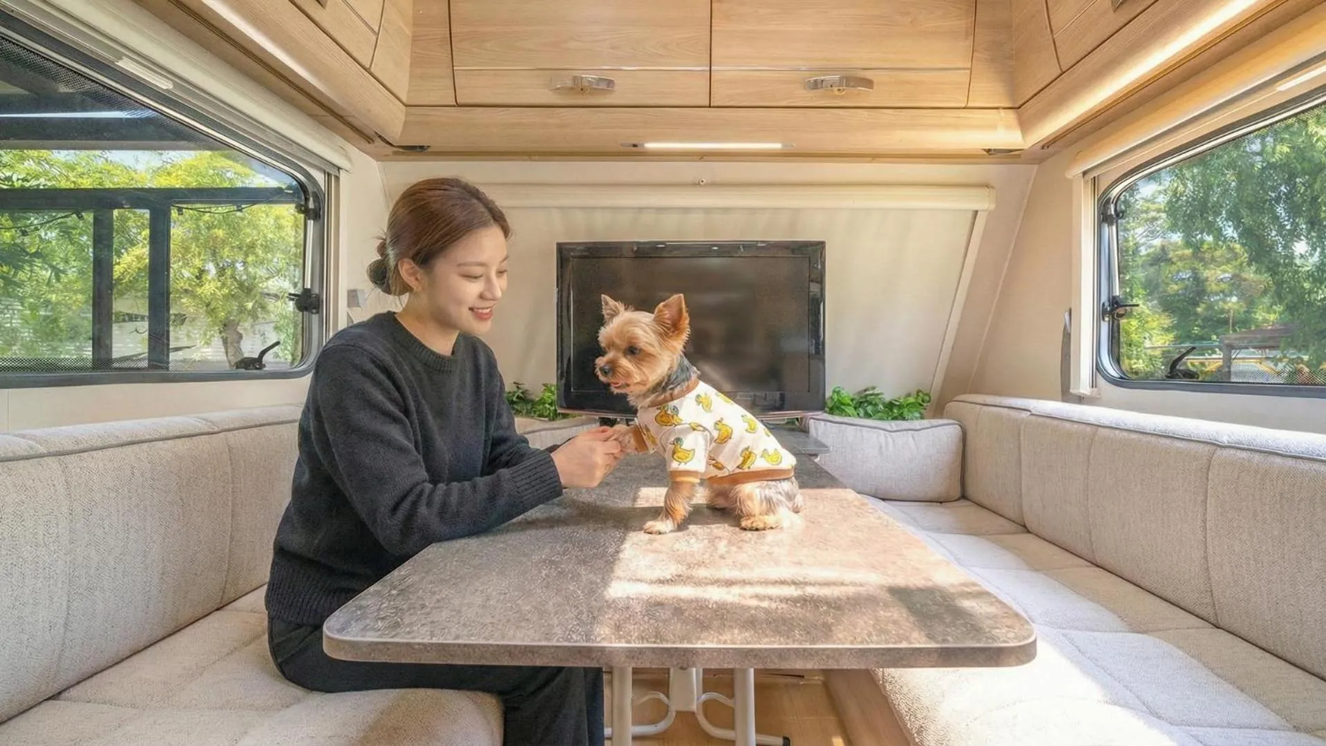 Property building in gyeongju yongcheonsu caravan