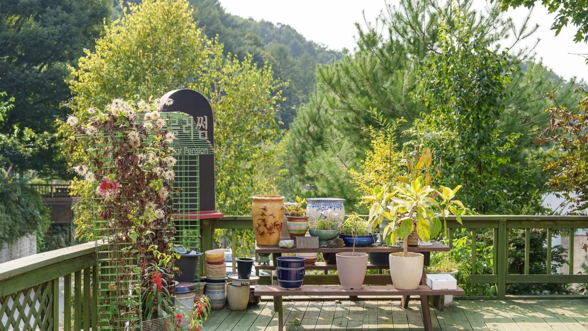 Property building in yangpyeong beulleosseom pet spa pension