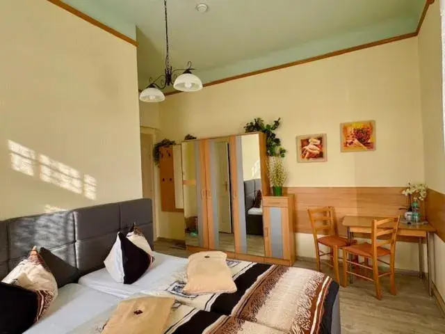 Comfort Double Room with River View - single occupancy in Pension Villa Else Comfort Double Room with River View - single occupancy in Pension Villa Else