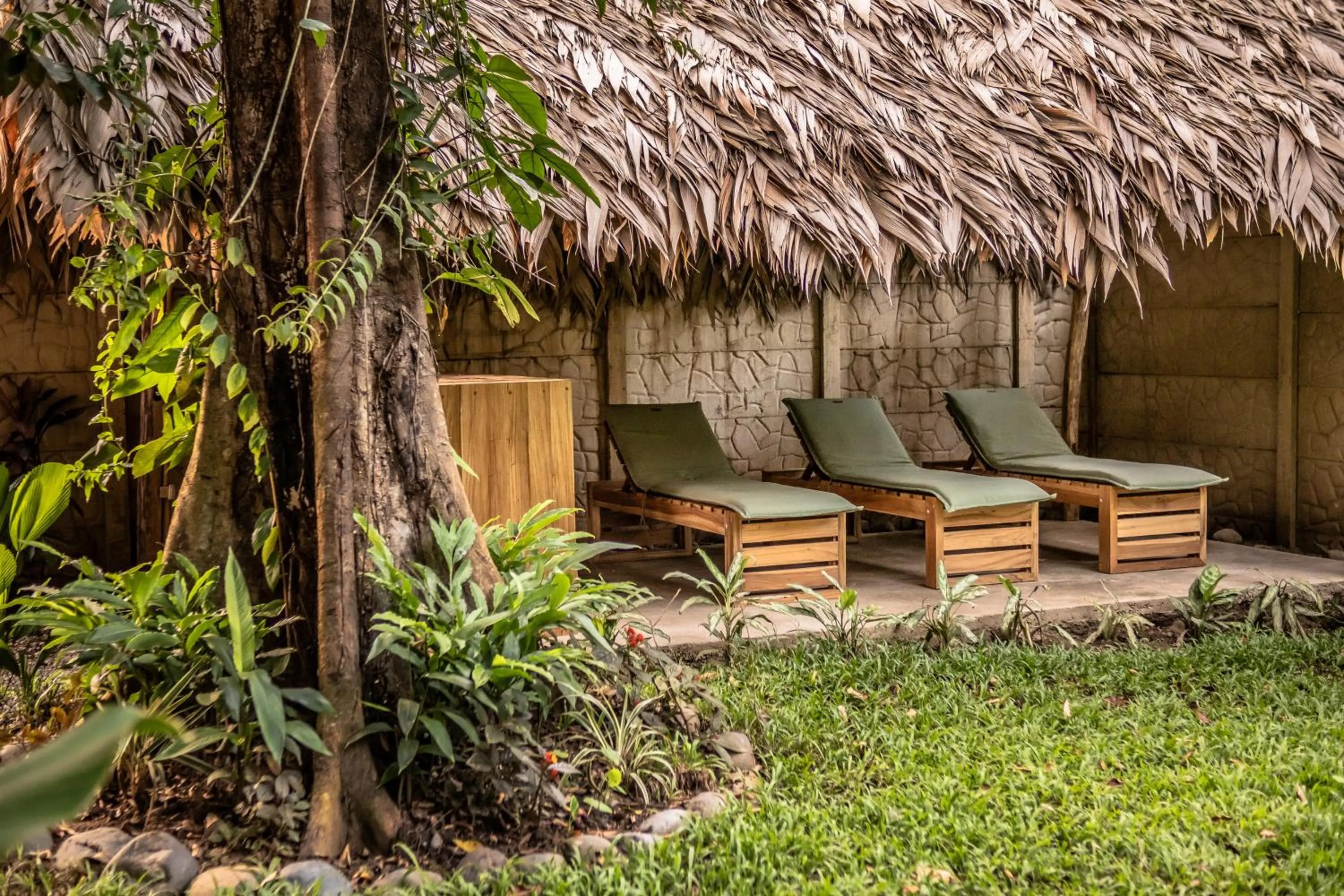 Garden in La Bonita Lodge