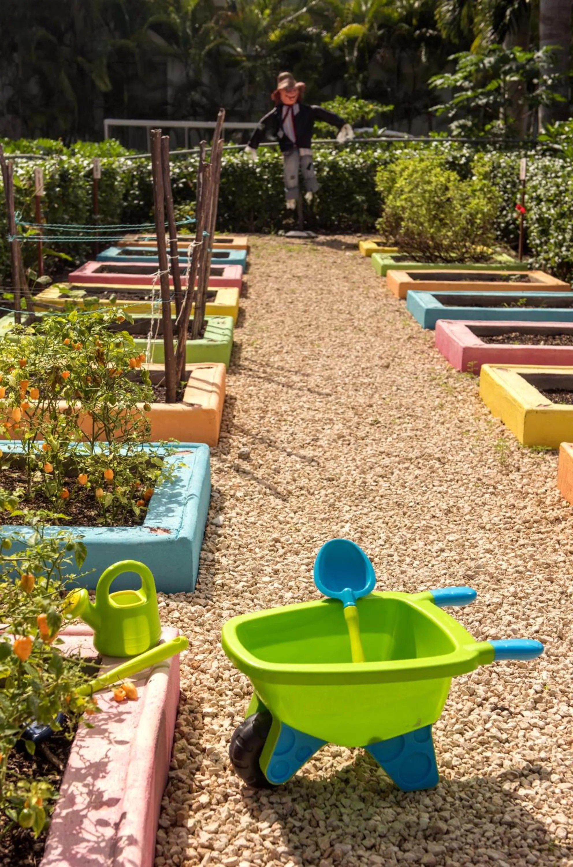 Activities in Princess Family Club Riviera - All Inclusive