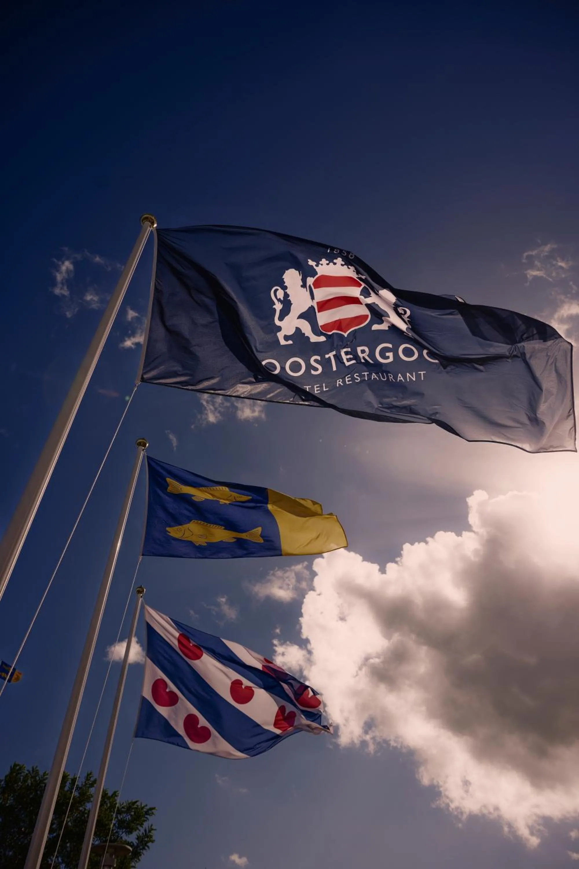 Property building in Hotel Oostergoo