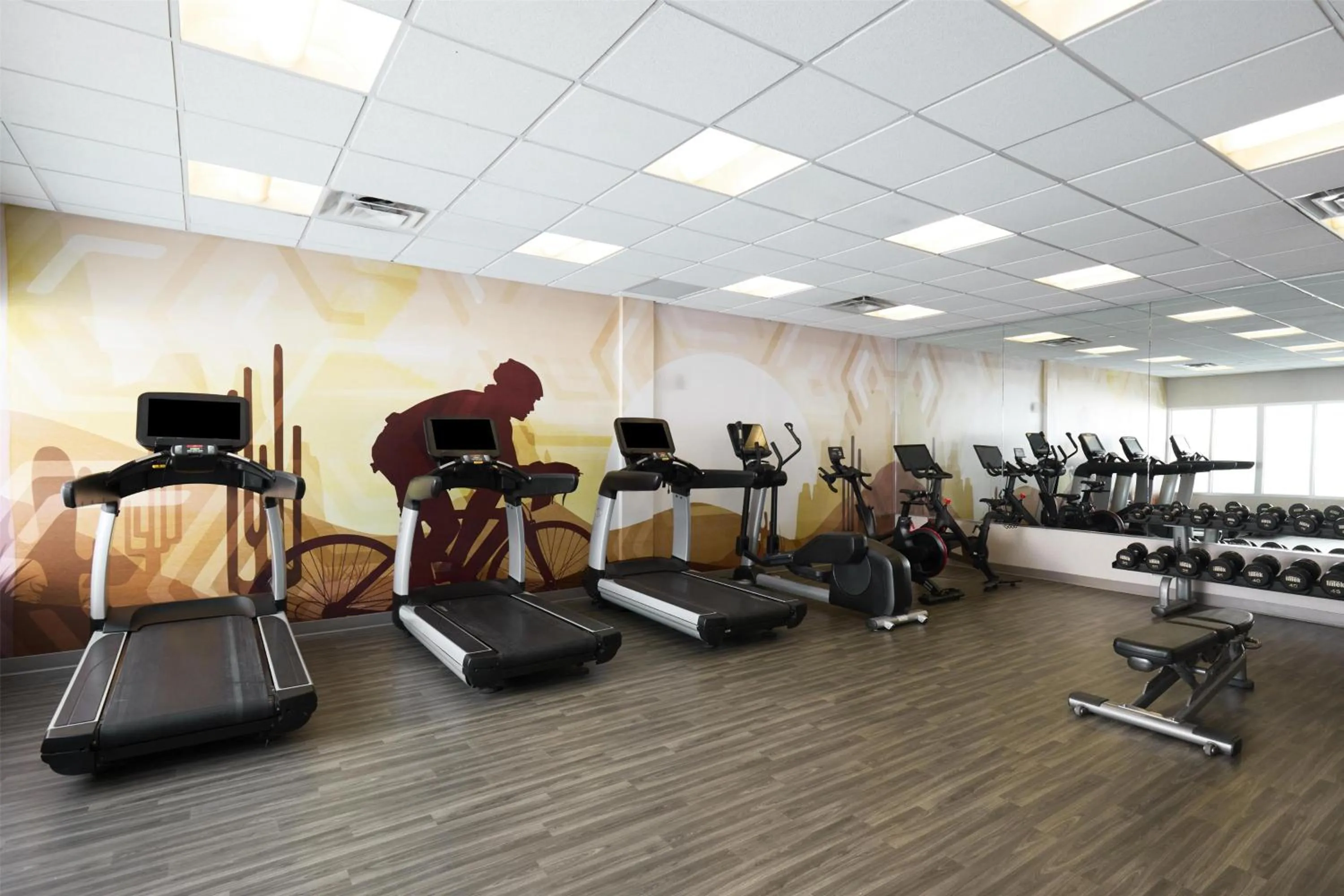Fitness centre/facilities in Hyatt Place New York Yonkers