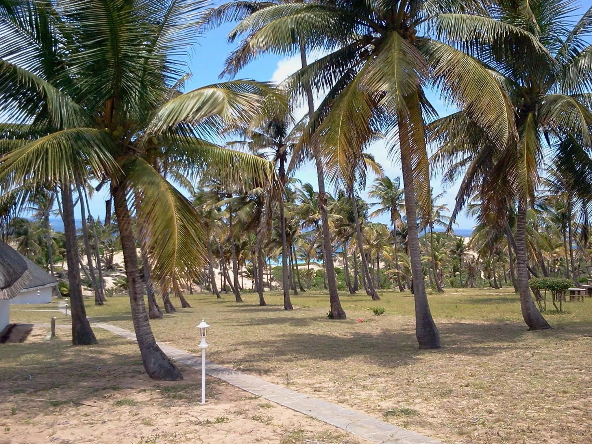 Area and facilities in Blue Moon Beach Holiday Resort