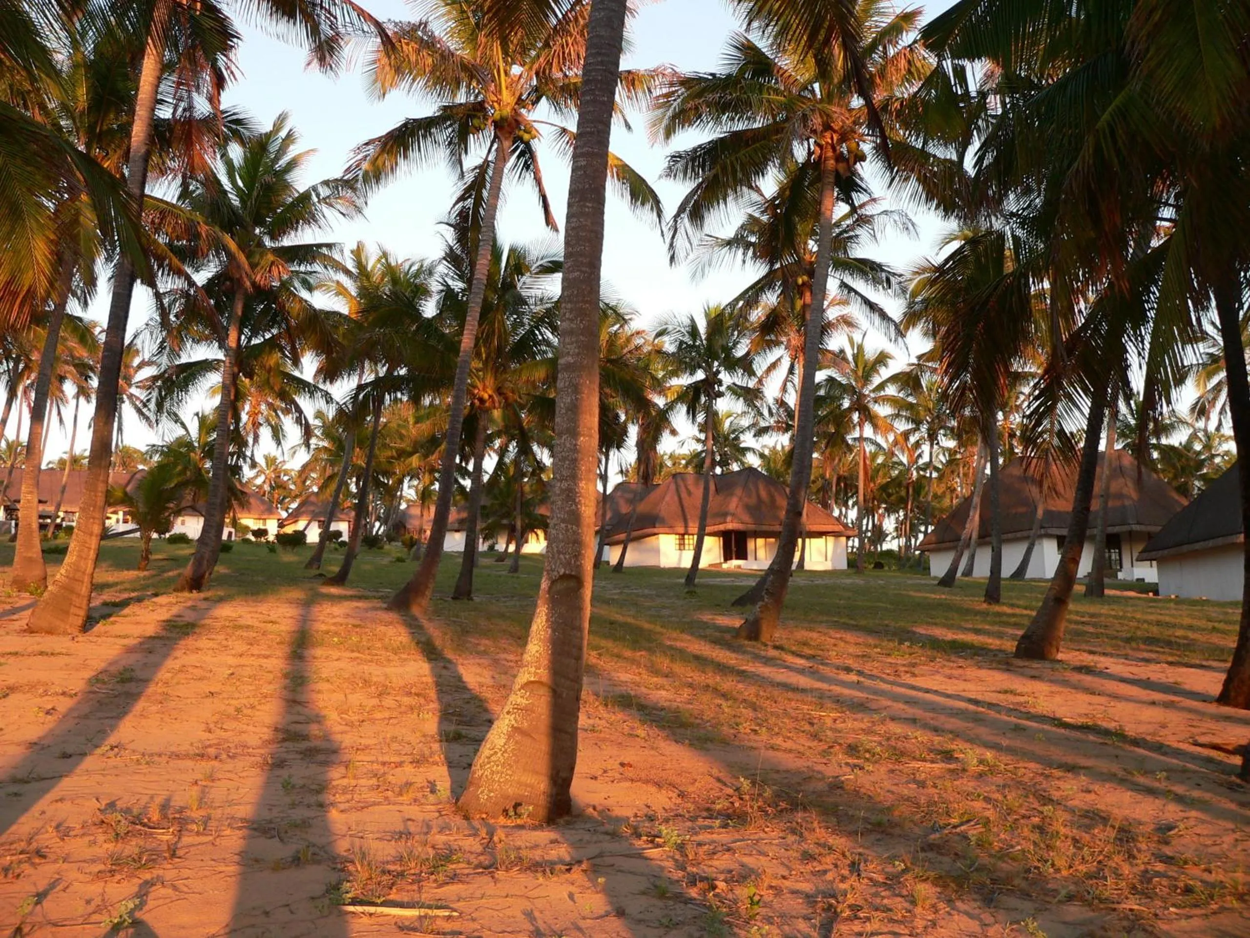 Area and facilities in Blue Moon Beach Holiday Resort