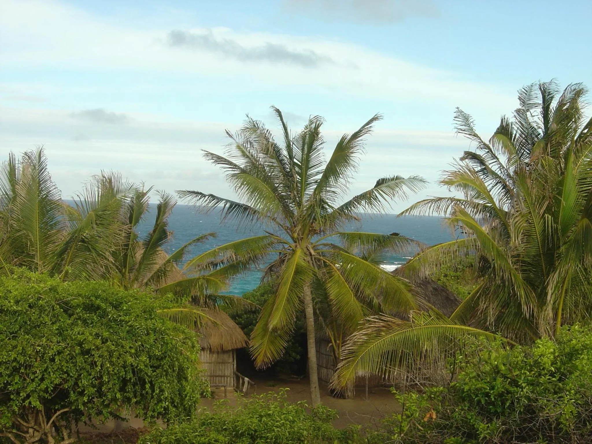 Area and facilities in Blue Moon Beach Holiday Resort