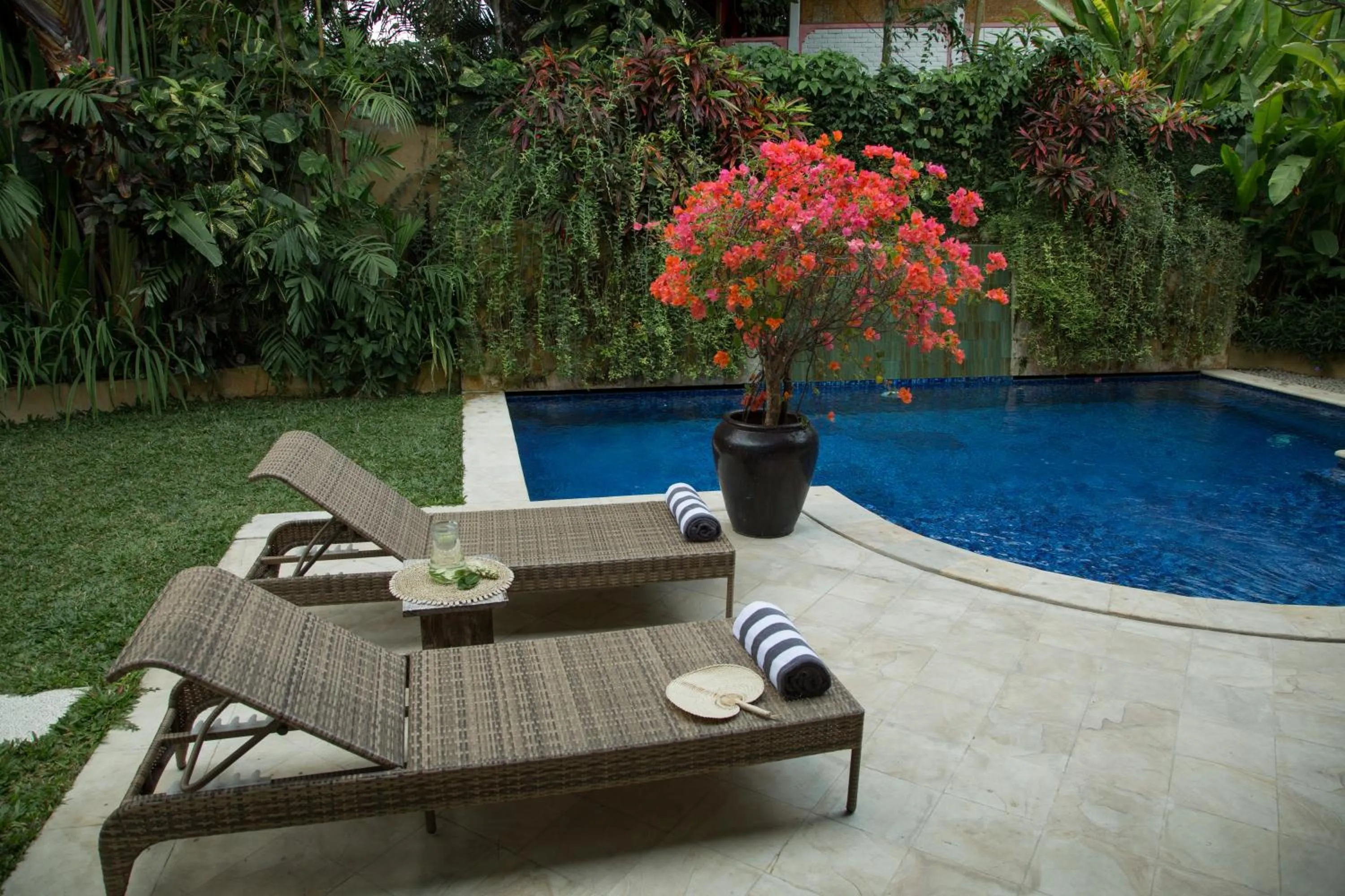 Garden view in Villa Eight