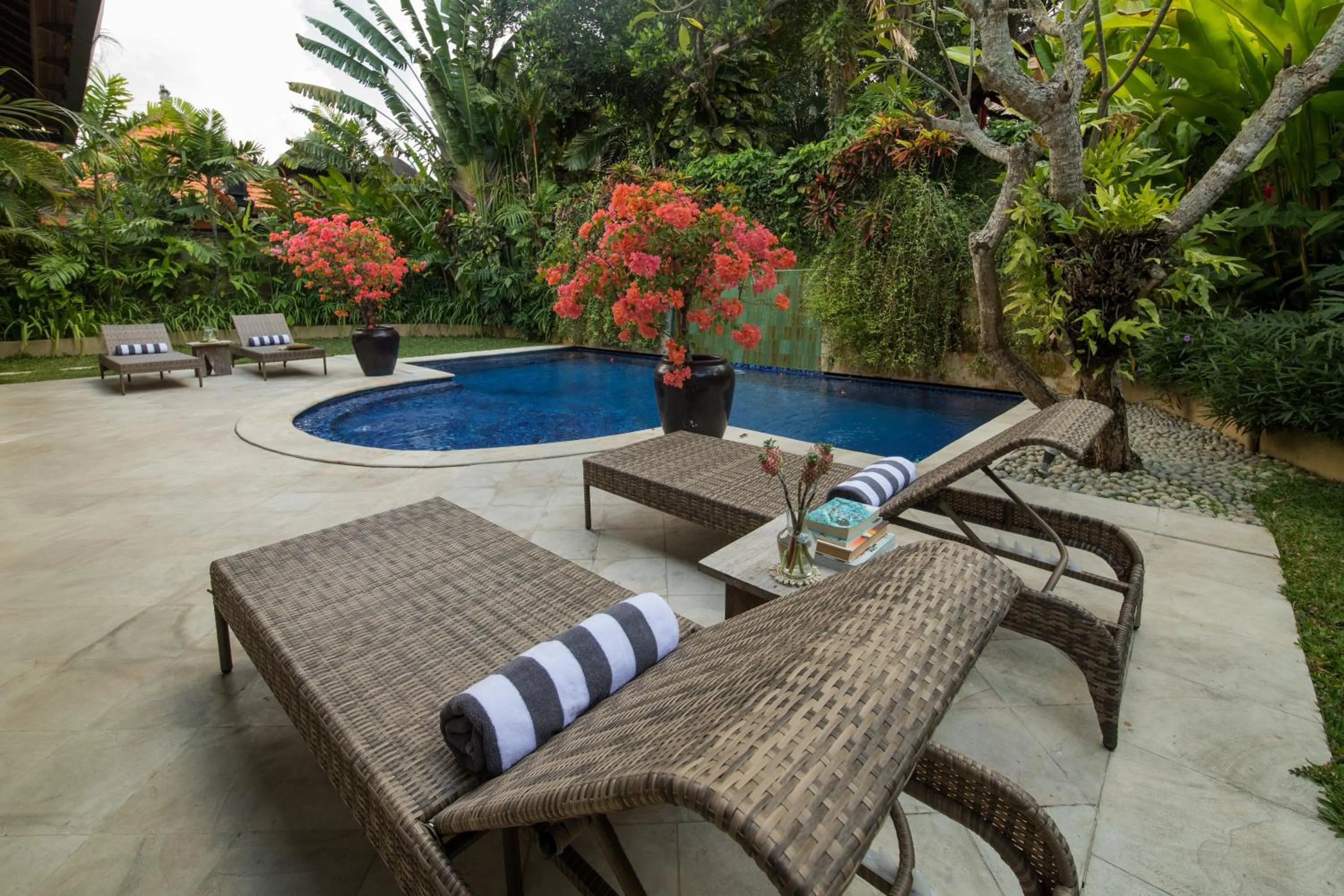 Garden in Villa Eight