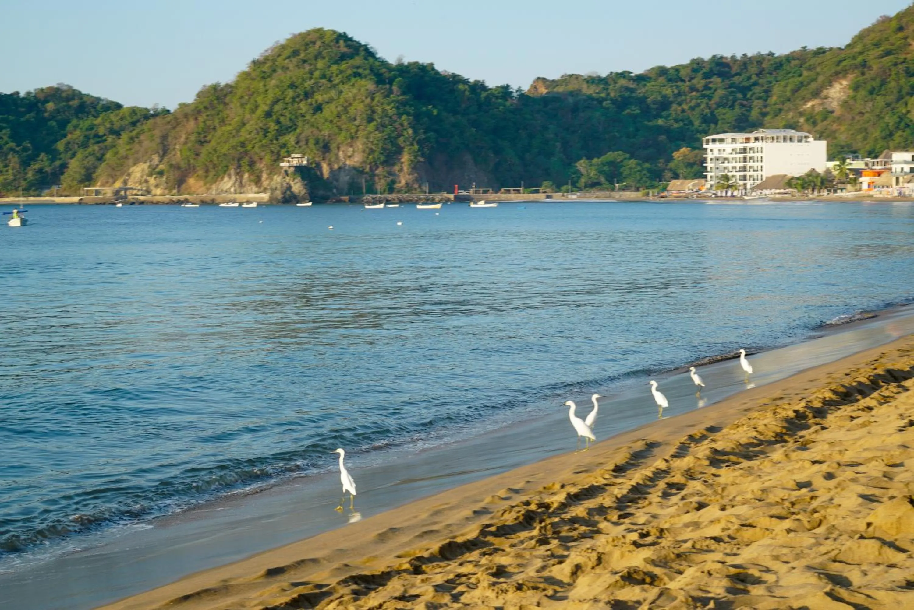 Beach in Hotel Tepalcates