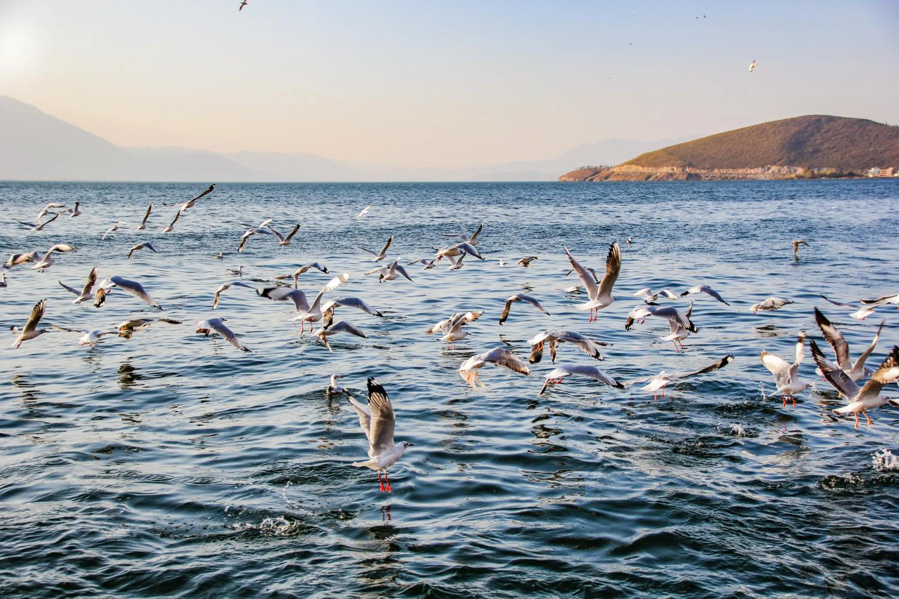 Nearby landmark in Lijiang Old Town Echarm Plus Hotel