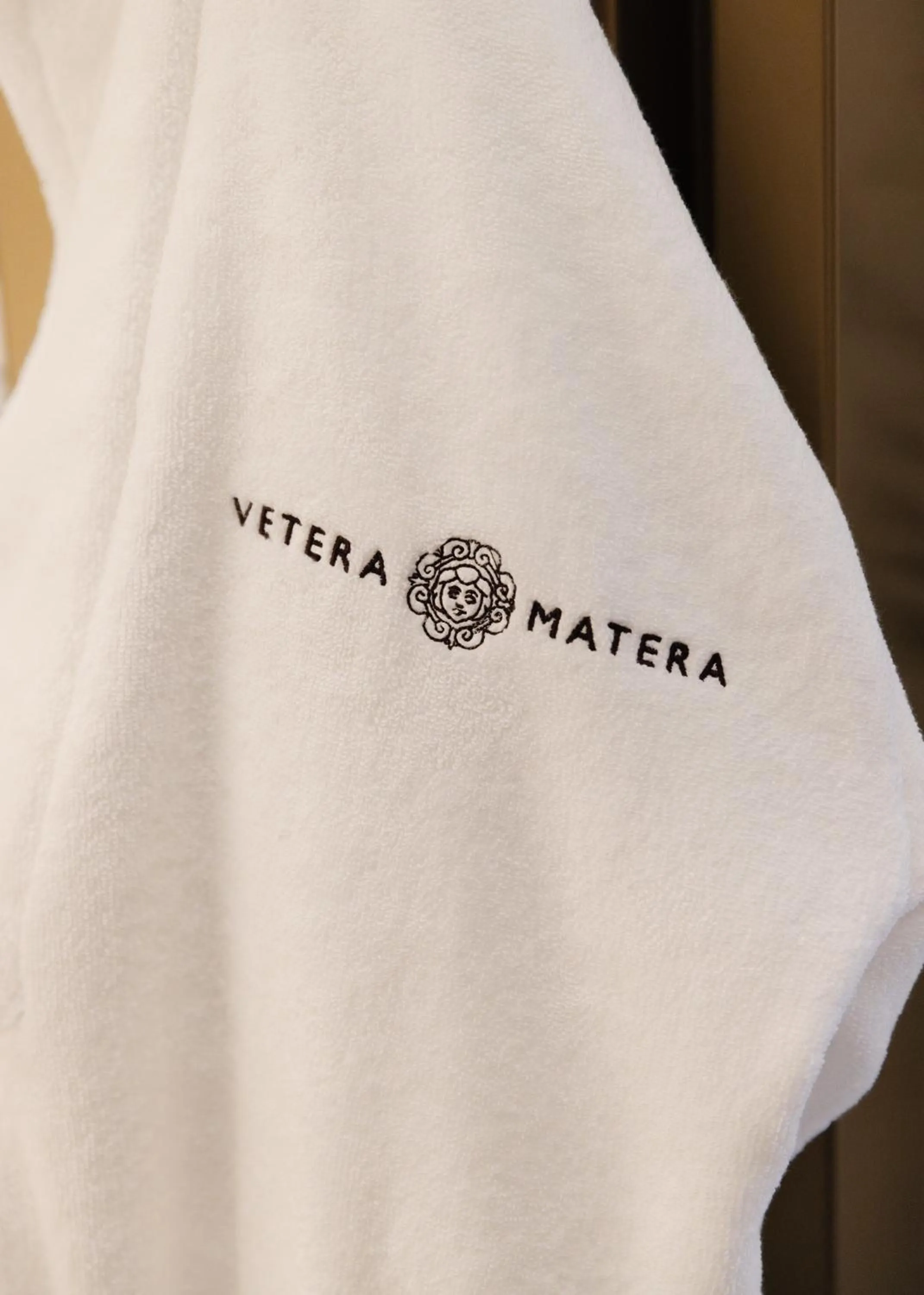 Decorative detail in Vetera Matera