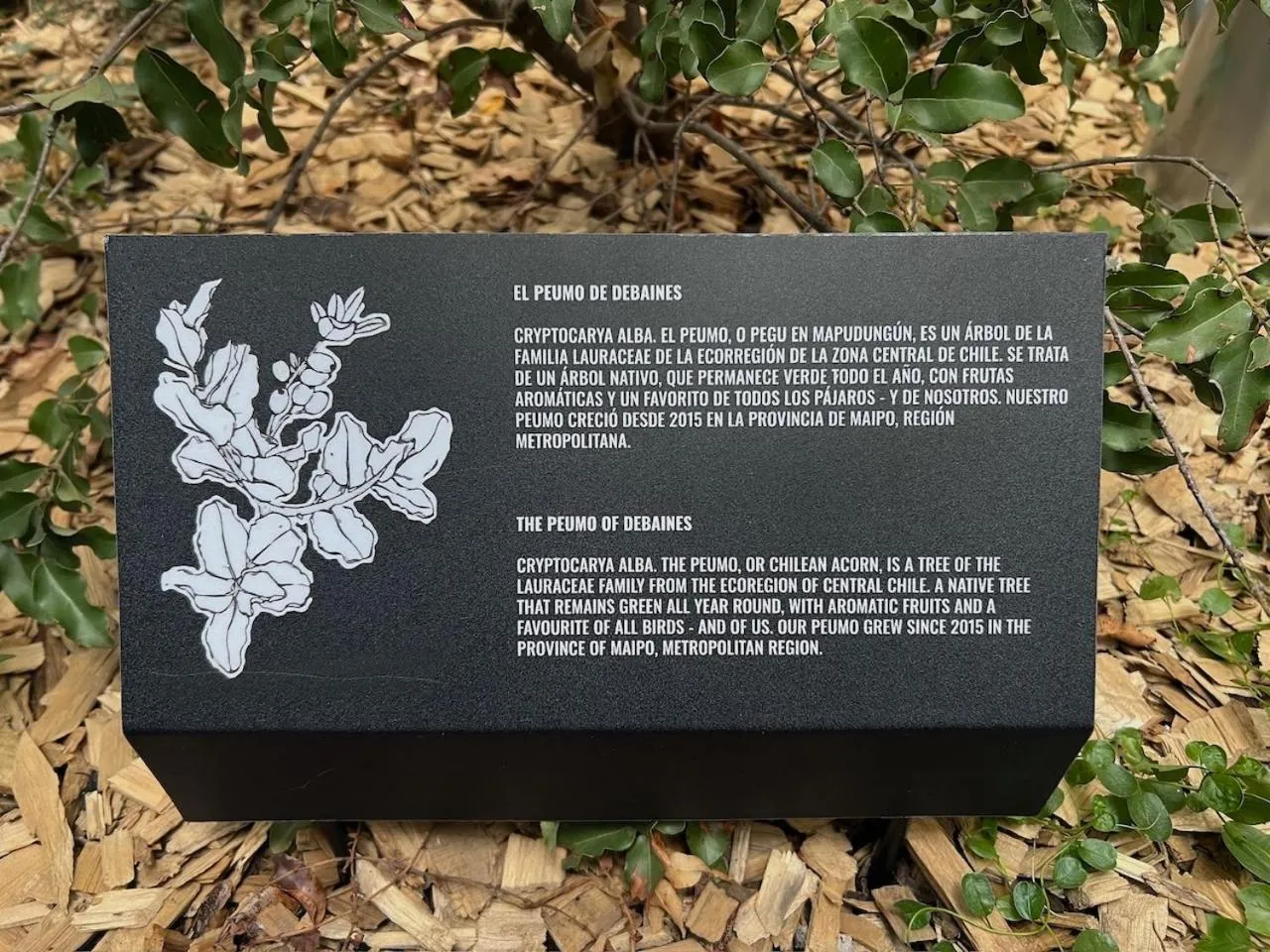 Day in Debaines Hotel Santiago