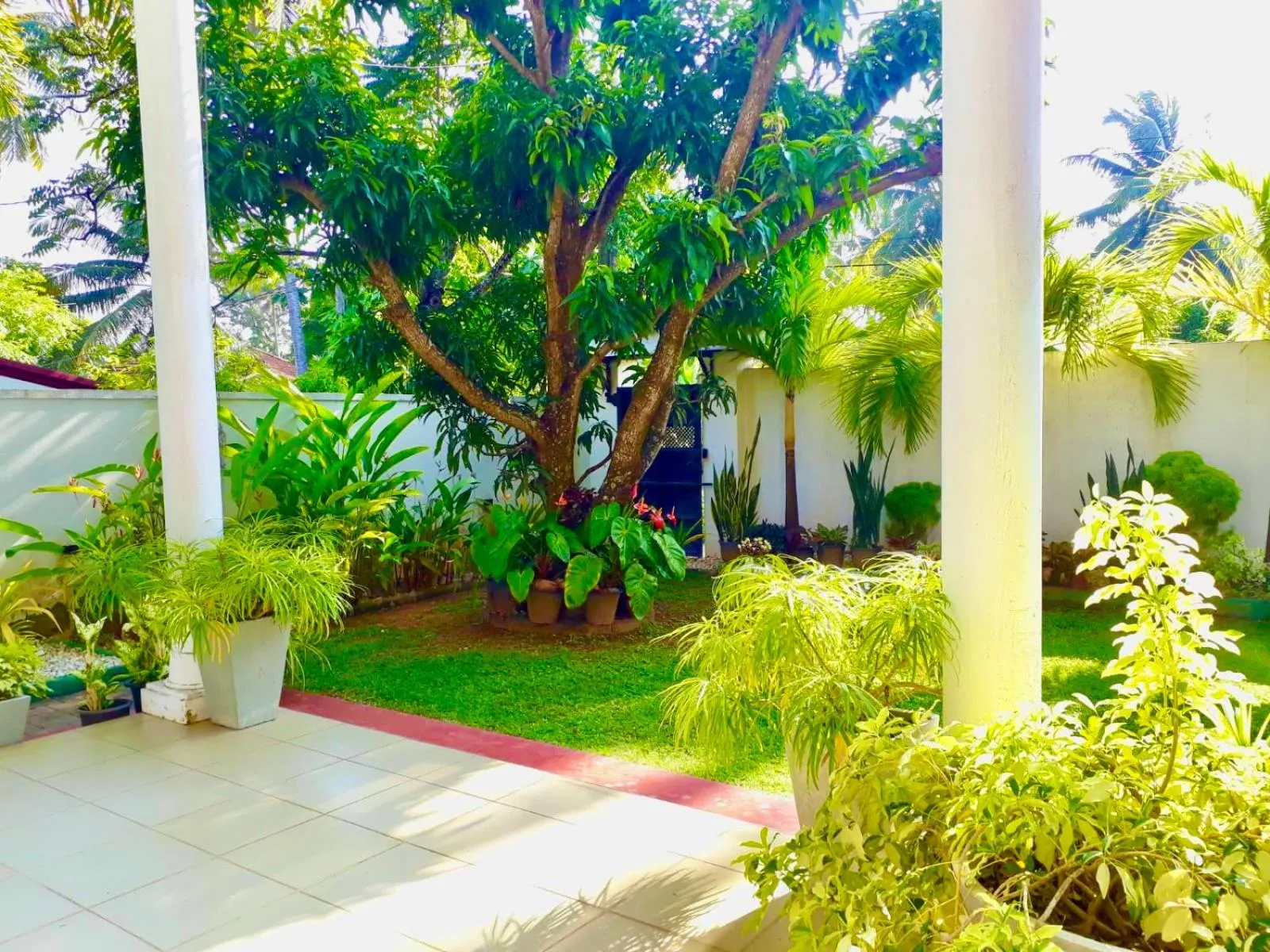 Spring in Ama Villa Negombo