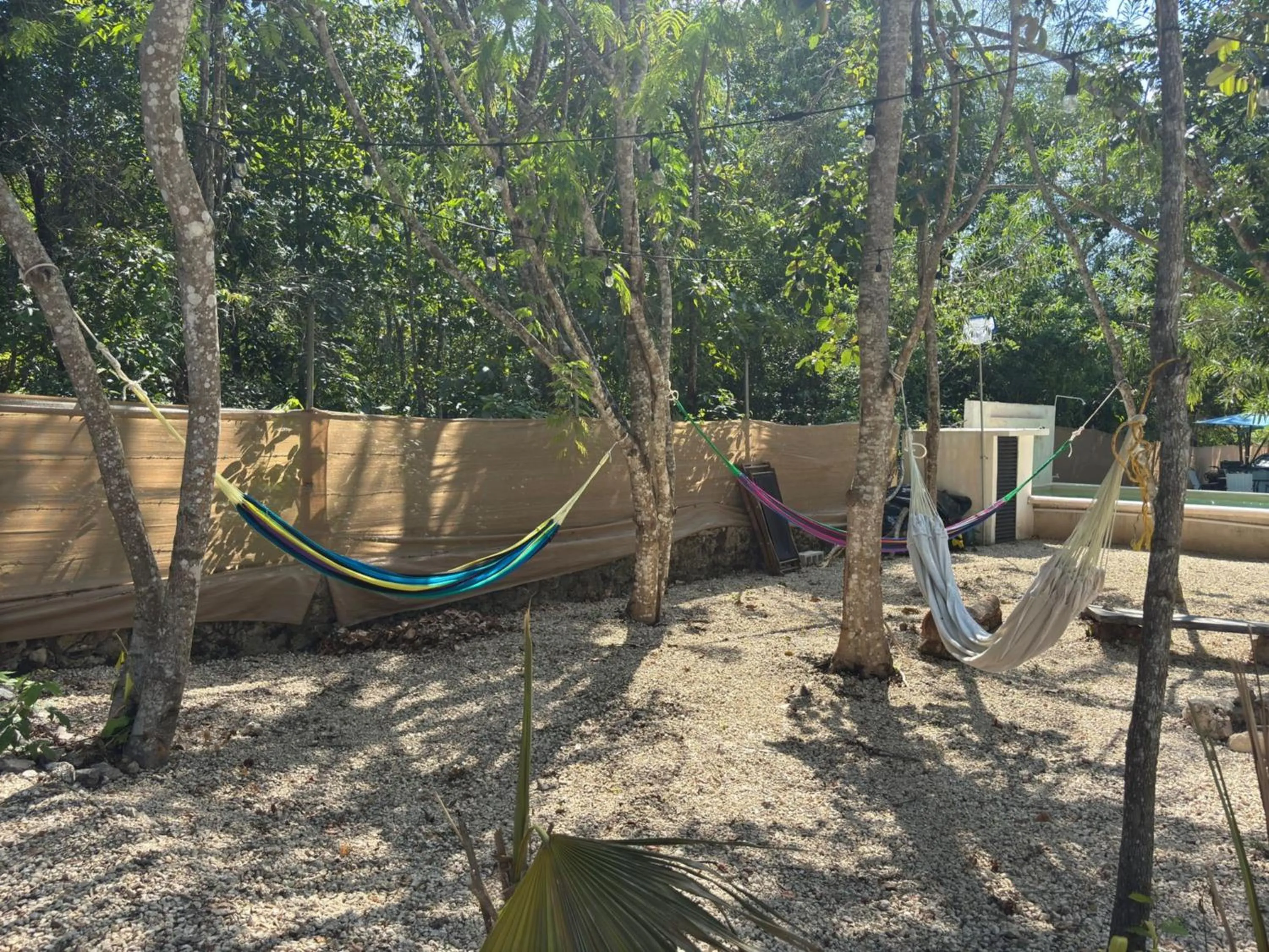 Spring in BACALAR INN Hotel