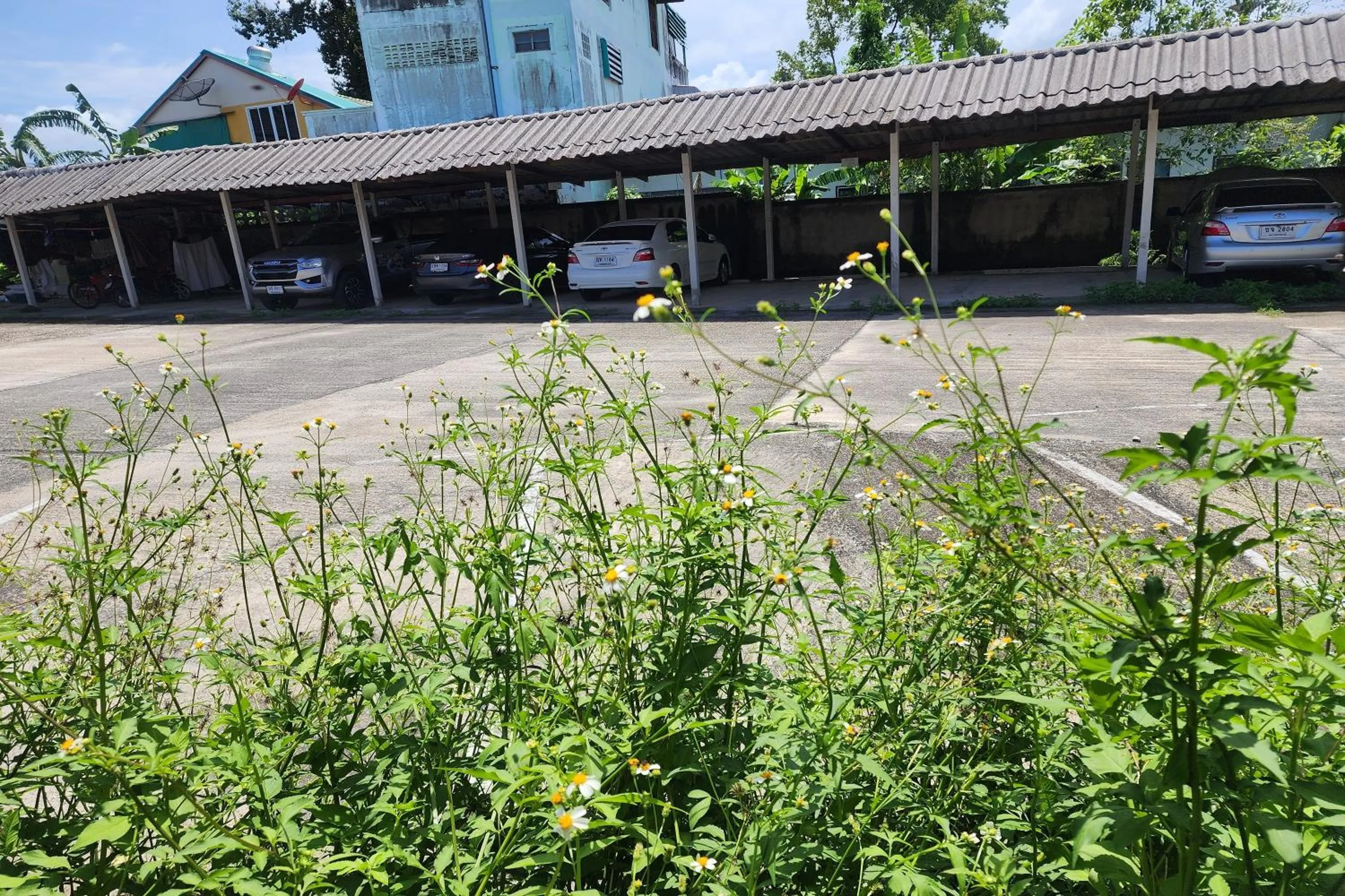 Parking in My Pumpkin Bungalow Krabi
