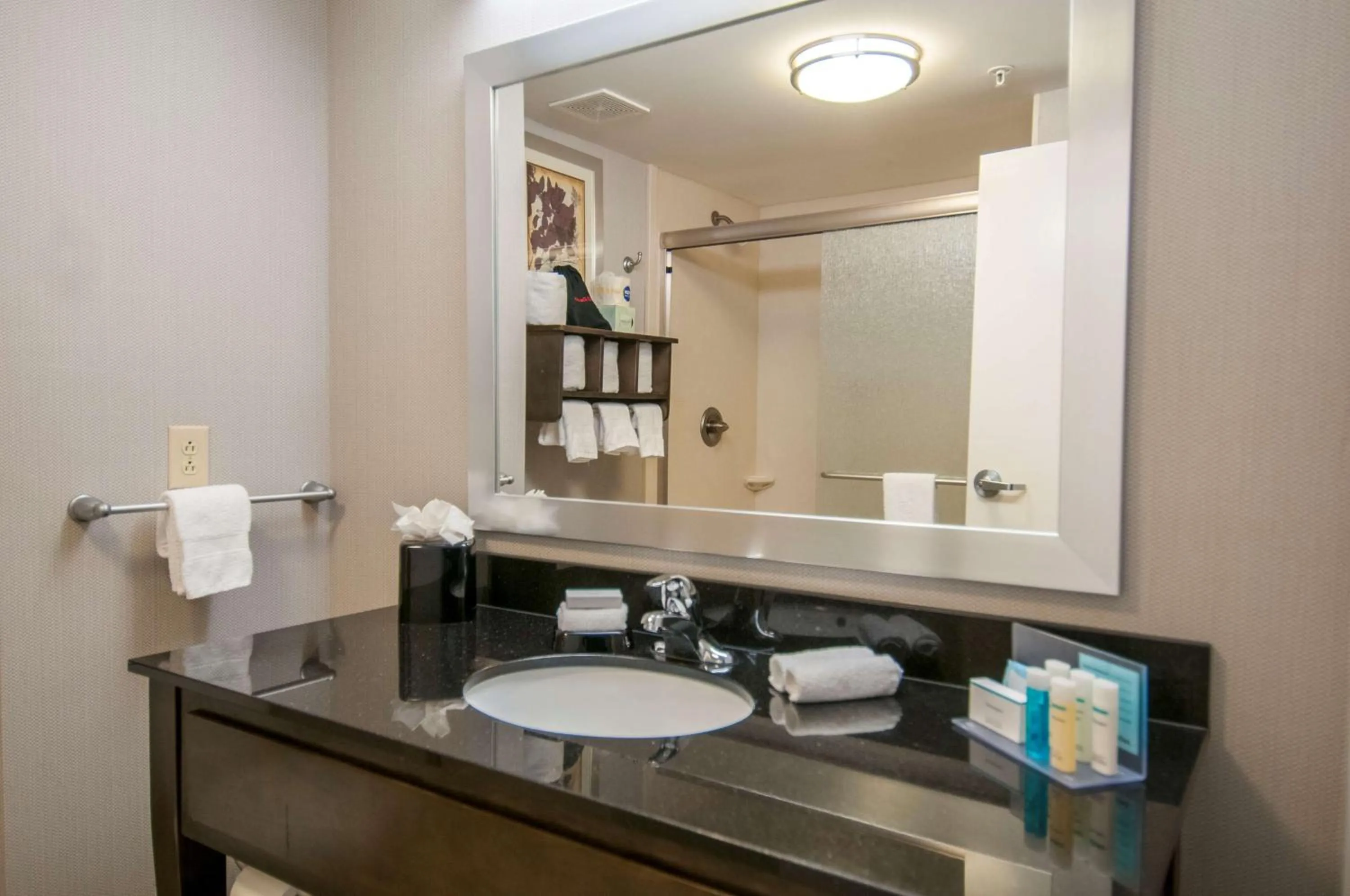 Bathroom in Hampton Inn Hernando, MS
