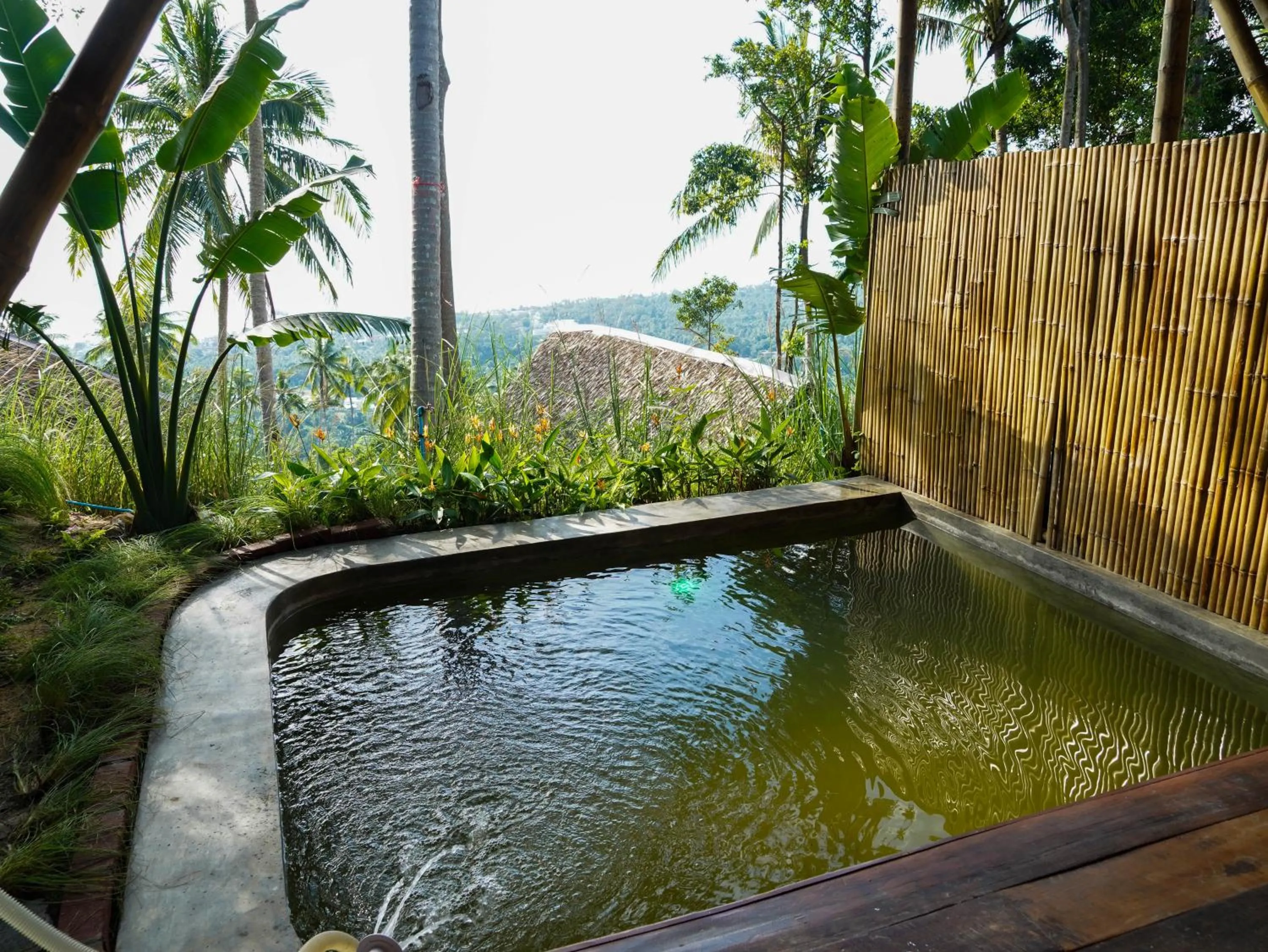 Pool view in RoomQuest THEVA Resort Koh Samui