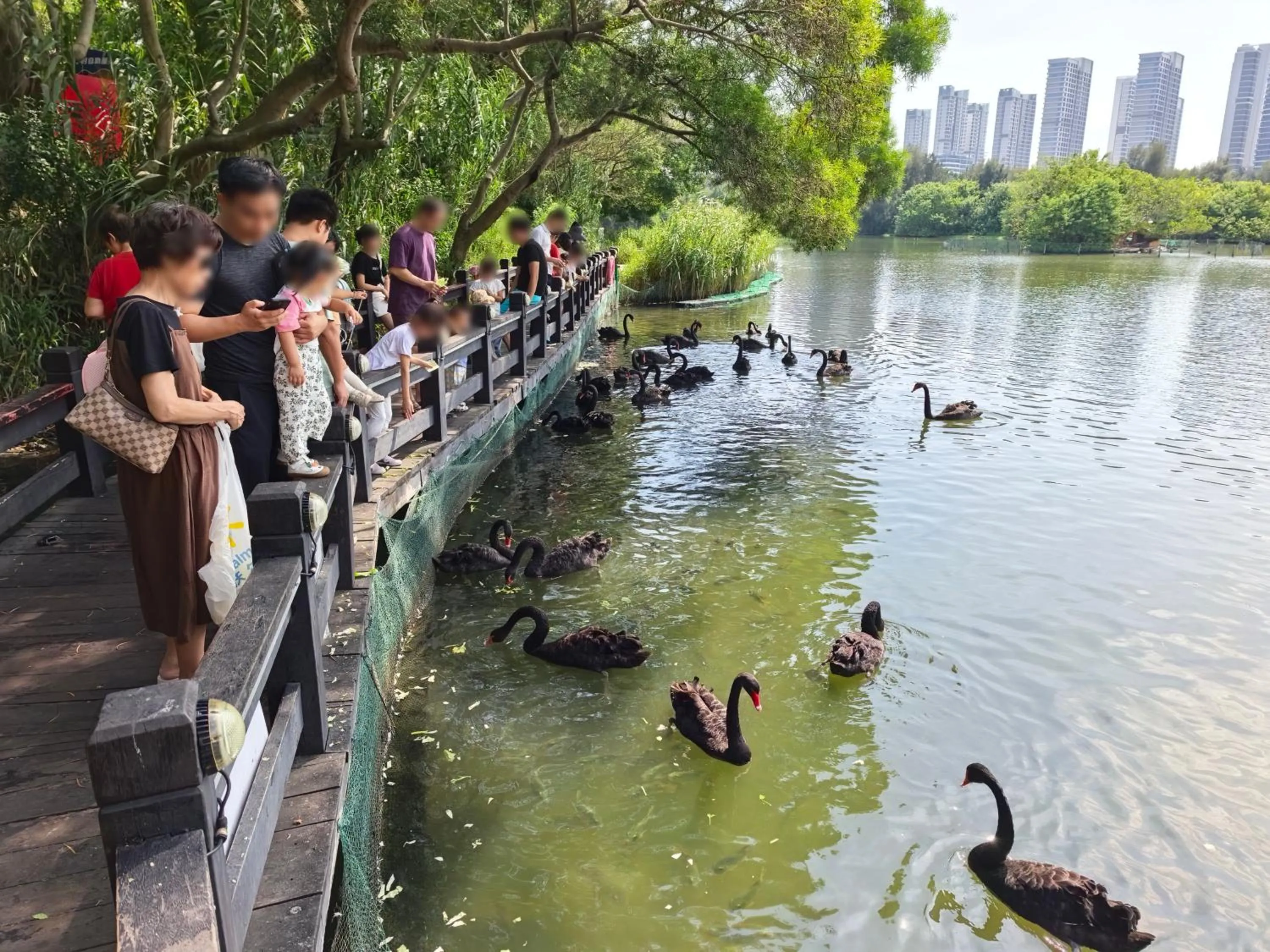 Animals in DoubleTree by Hilton Hotel Xiamen - Wuyuan Bay