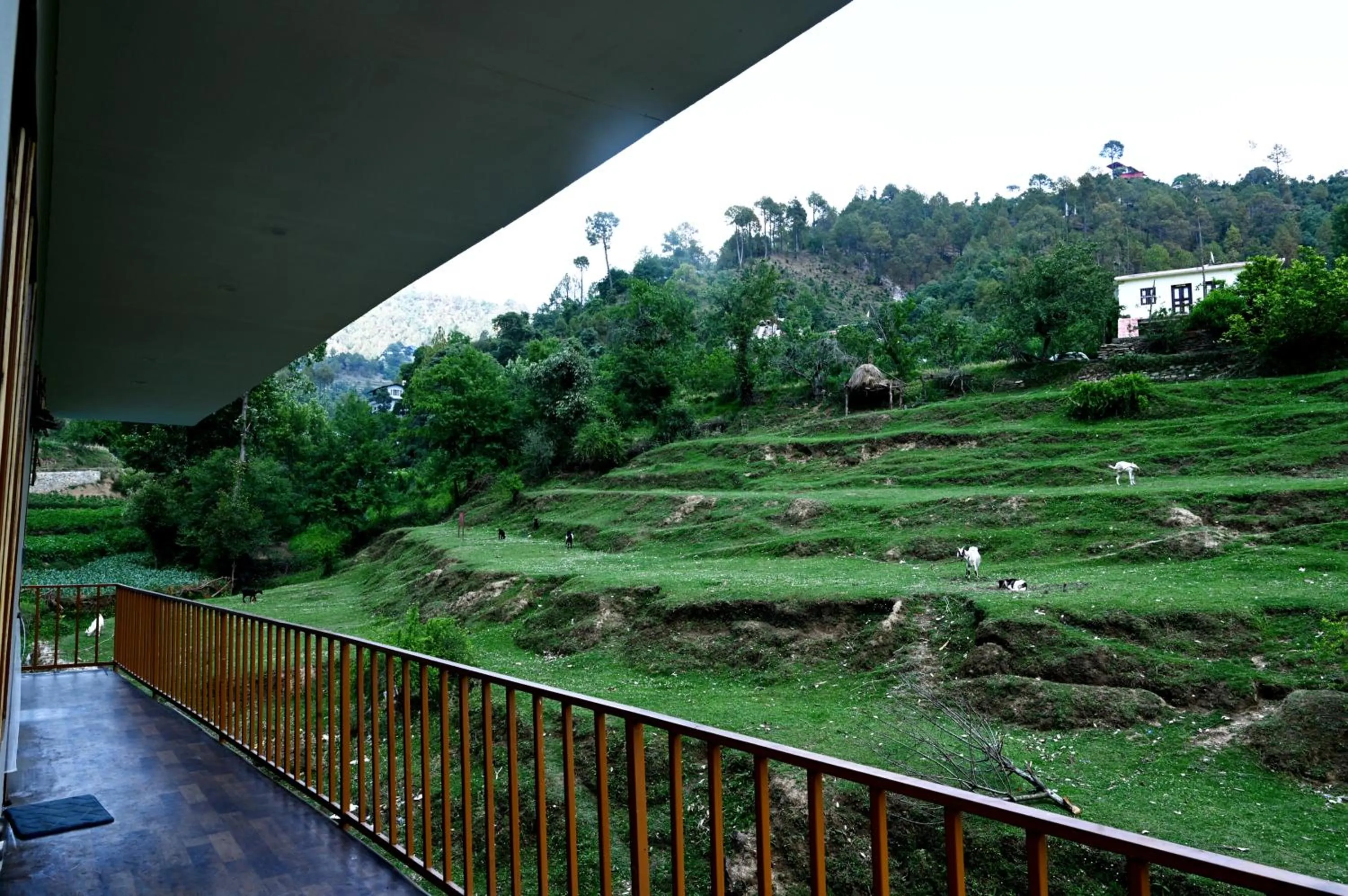 The Rare Ones, Bhalugaad Resort and game Zone