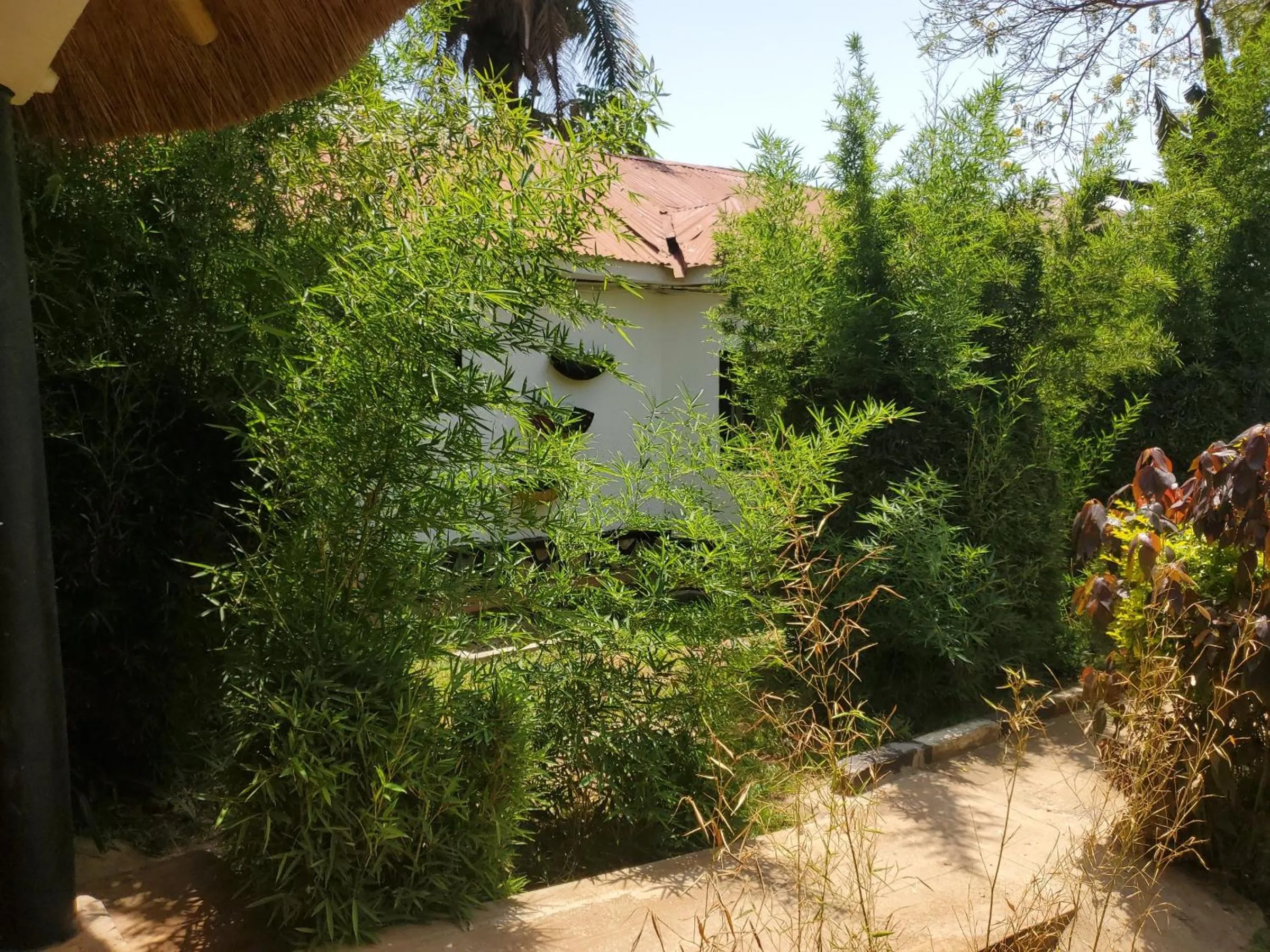 Property building in Gorilla African Guest House