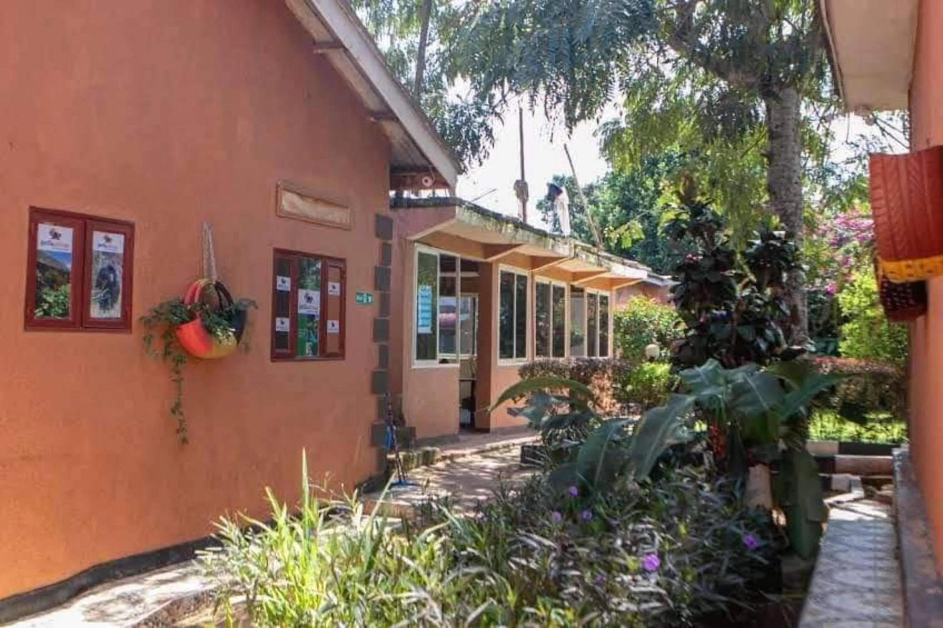 Property building in Gorilla African Guest House